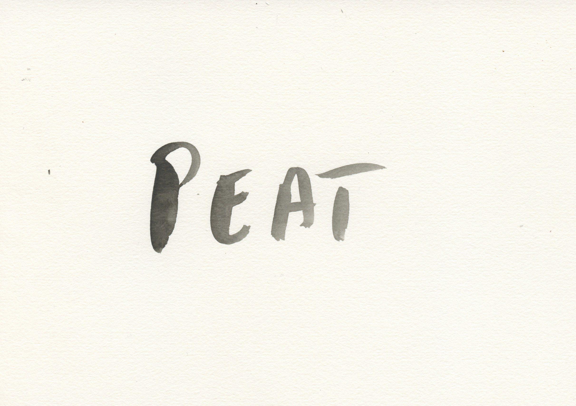 Peat.jpeg
