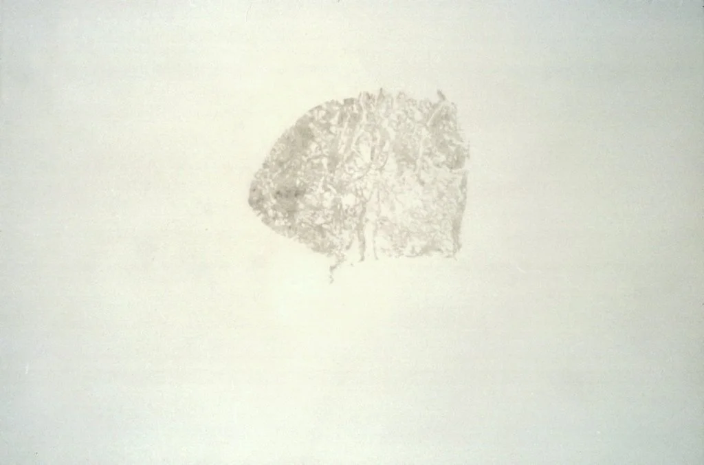 Gaze detail 3 detail, 2000. pencil on tracing paper.jpg