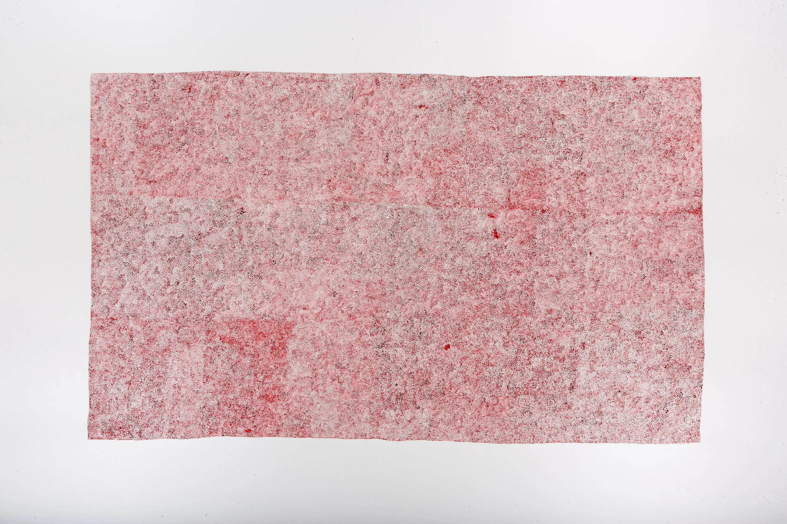 20. red-room 2006, watercolour on paper, 100 x 70cm..jpg