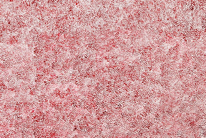 21_red room detail 2 2006 .jpg