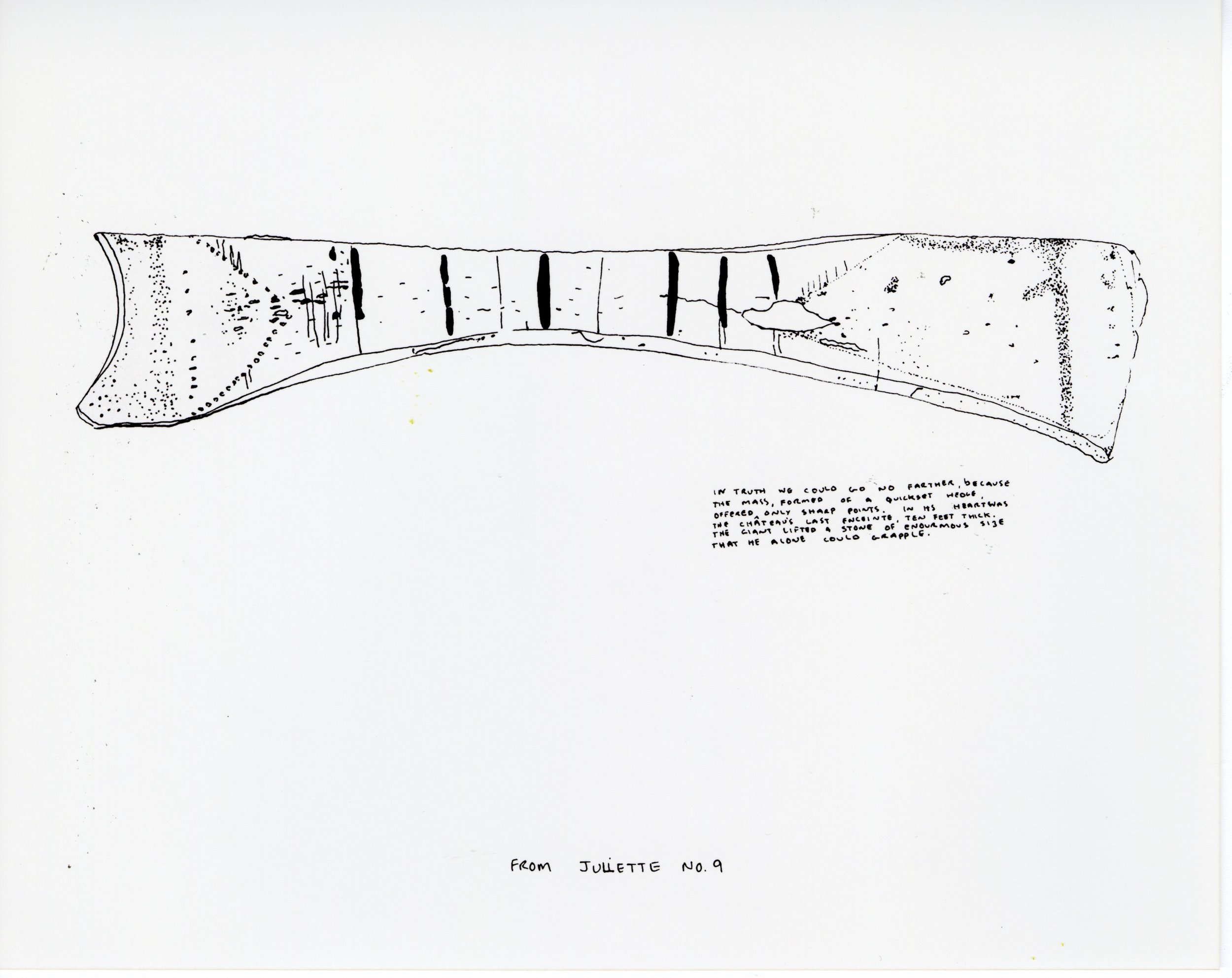 From Juliette no. 9 1998, ink on paper, 37.5 x 57cm.jpg