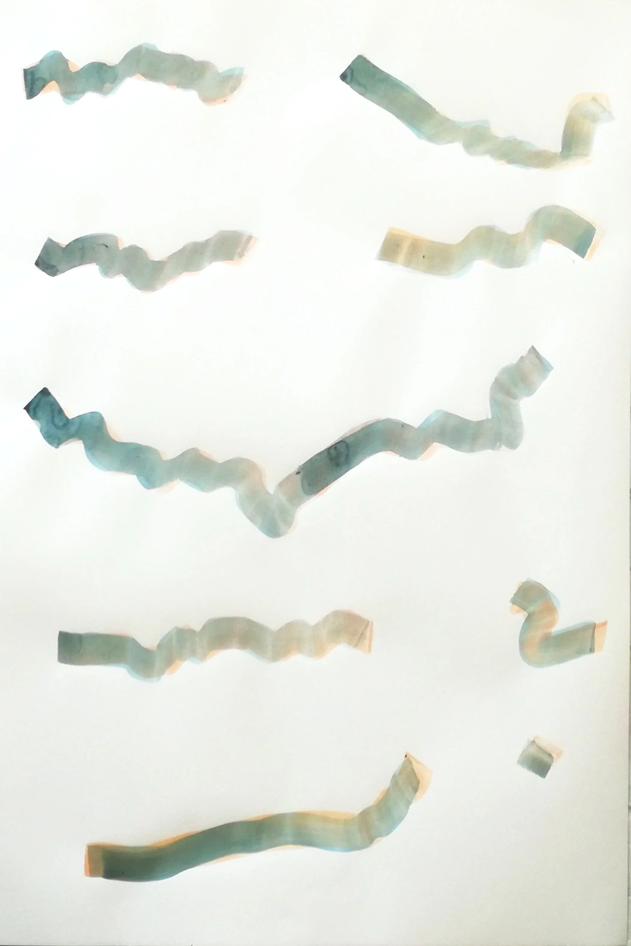 Bitter-lines (study) 2022