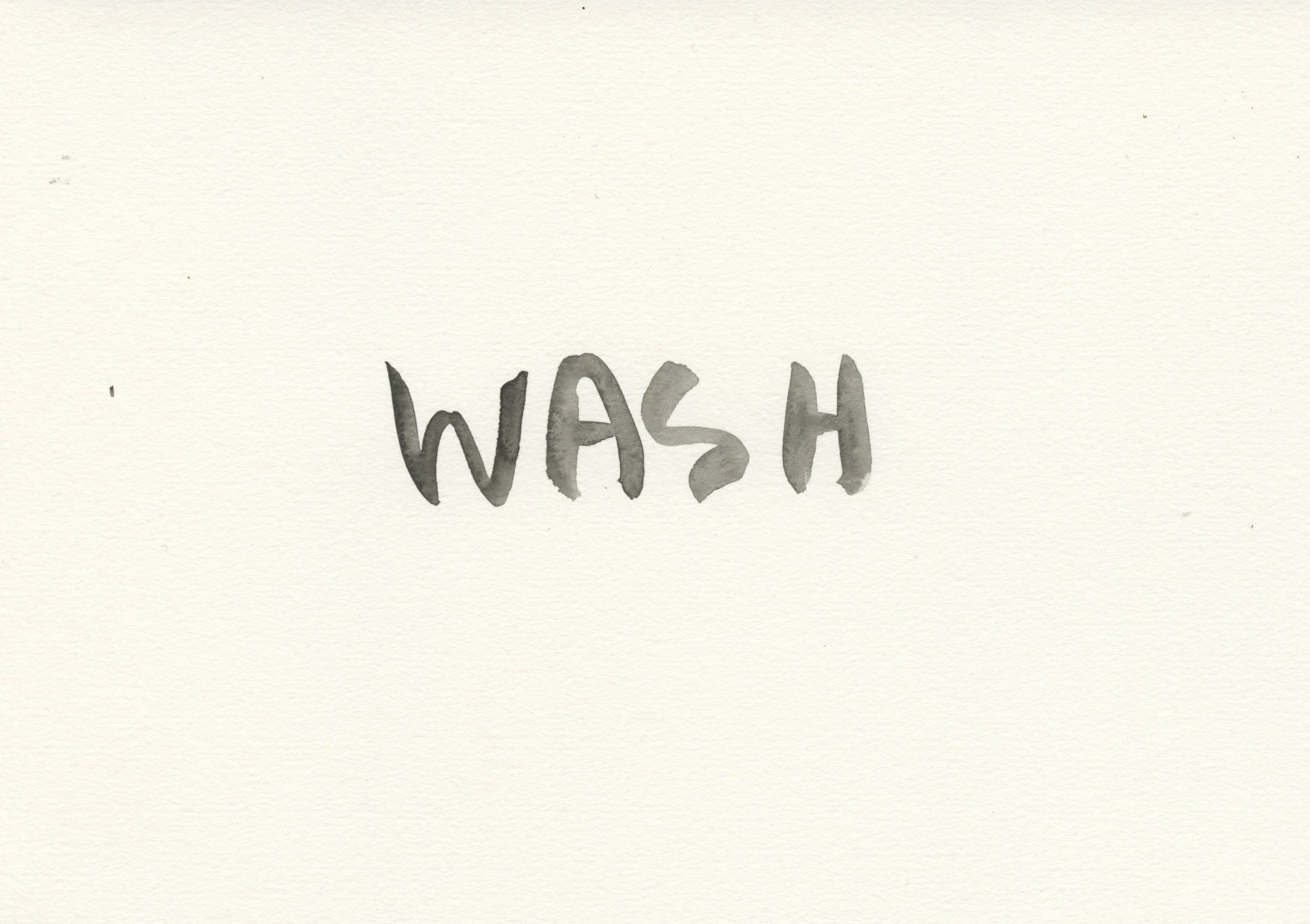 Wash.jpeg