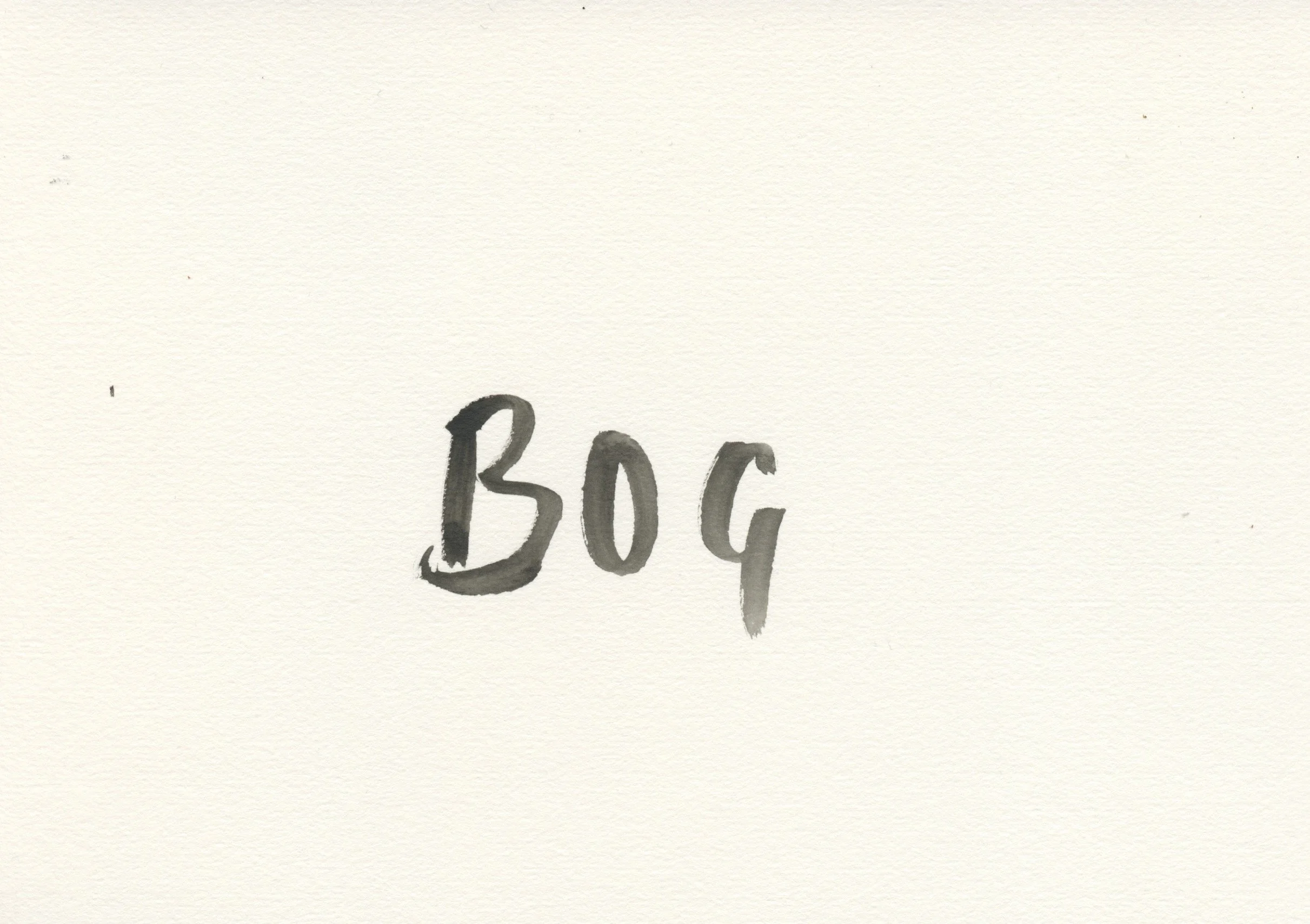 30 Bog Words 2021