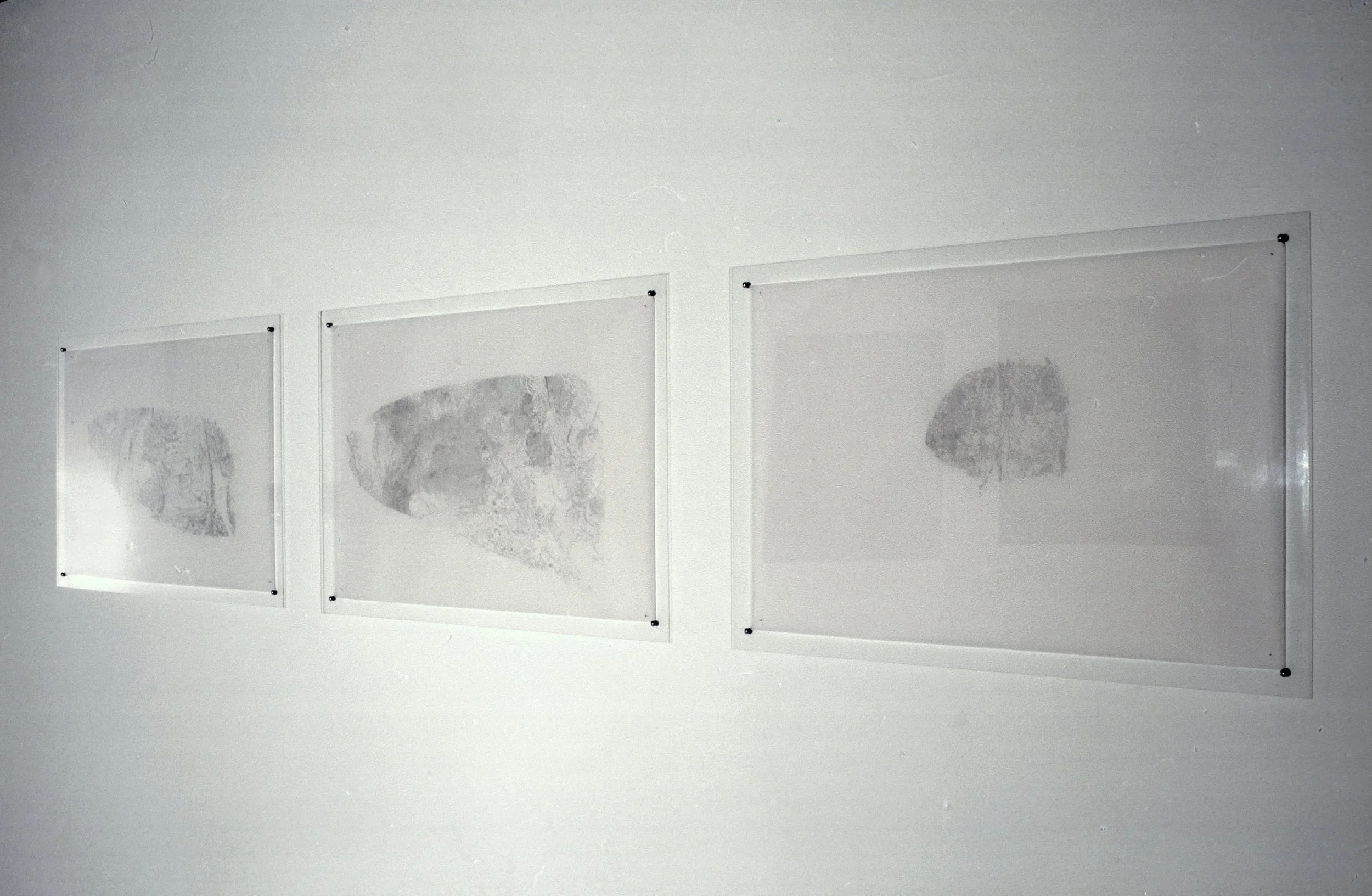 Gaze installation, 2000, pencil on tracing paper. .jpg