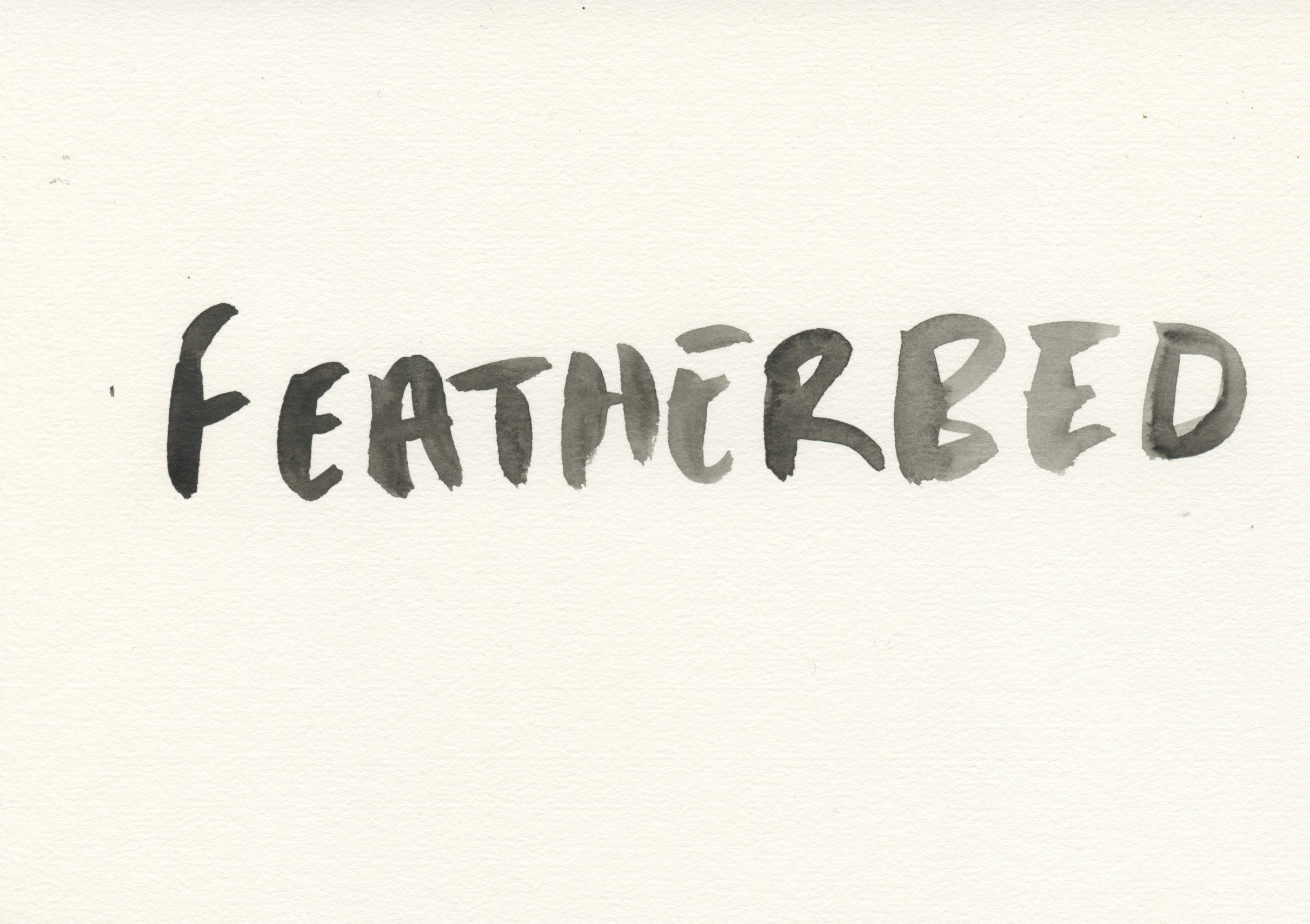 Featherbed.jpeg