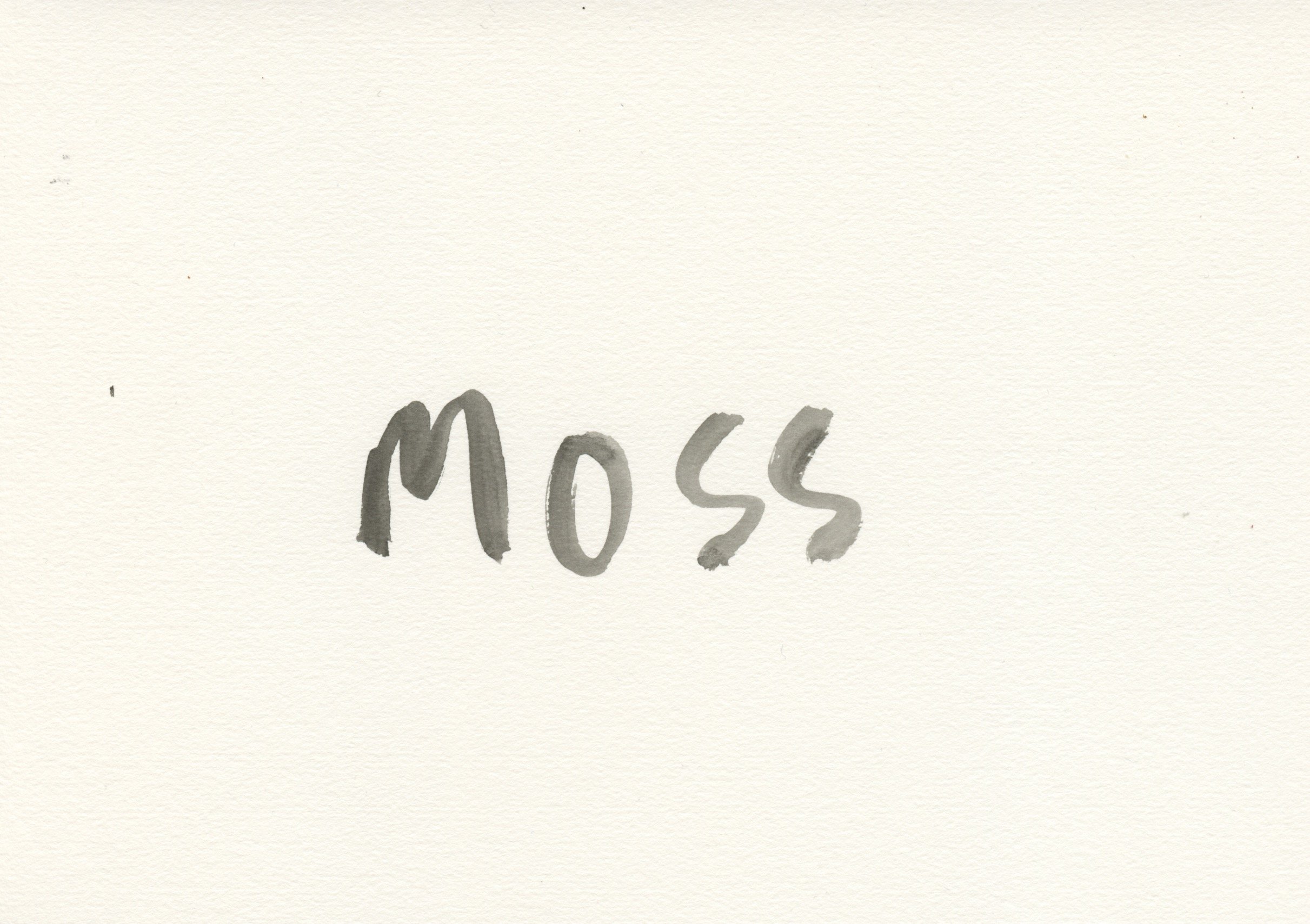 Moss.jpeg