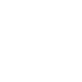 Box Turtle Express Trail Races