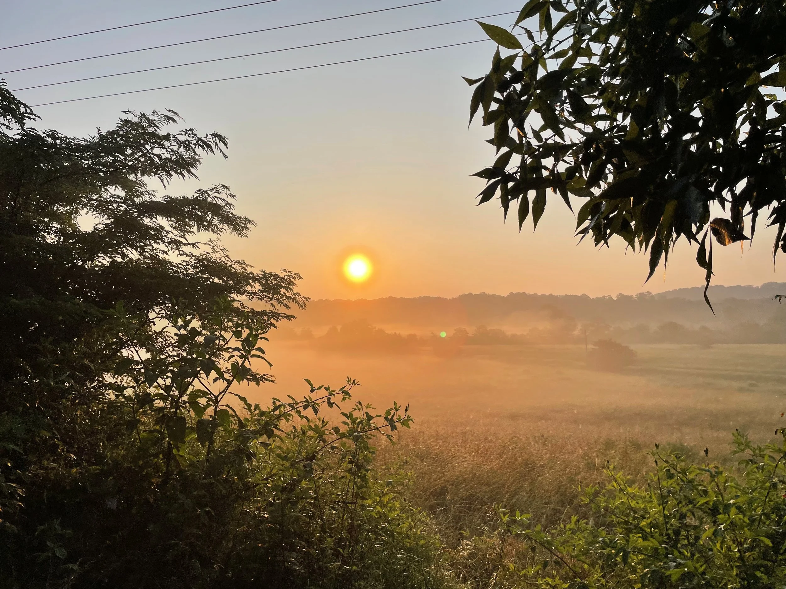 BT Morning_Sunrise.jpg