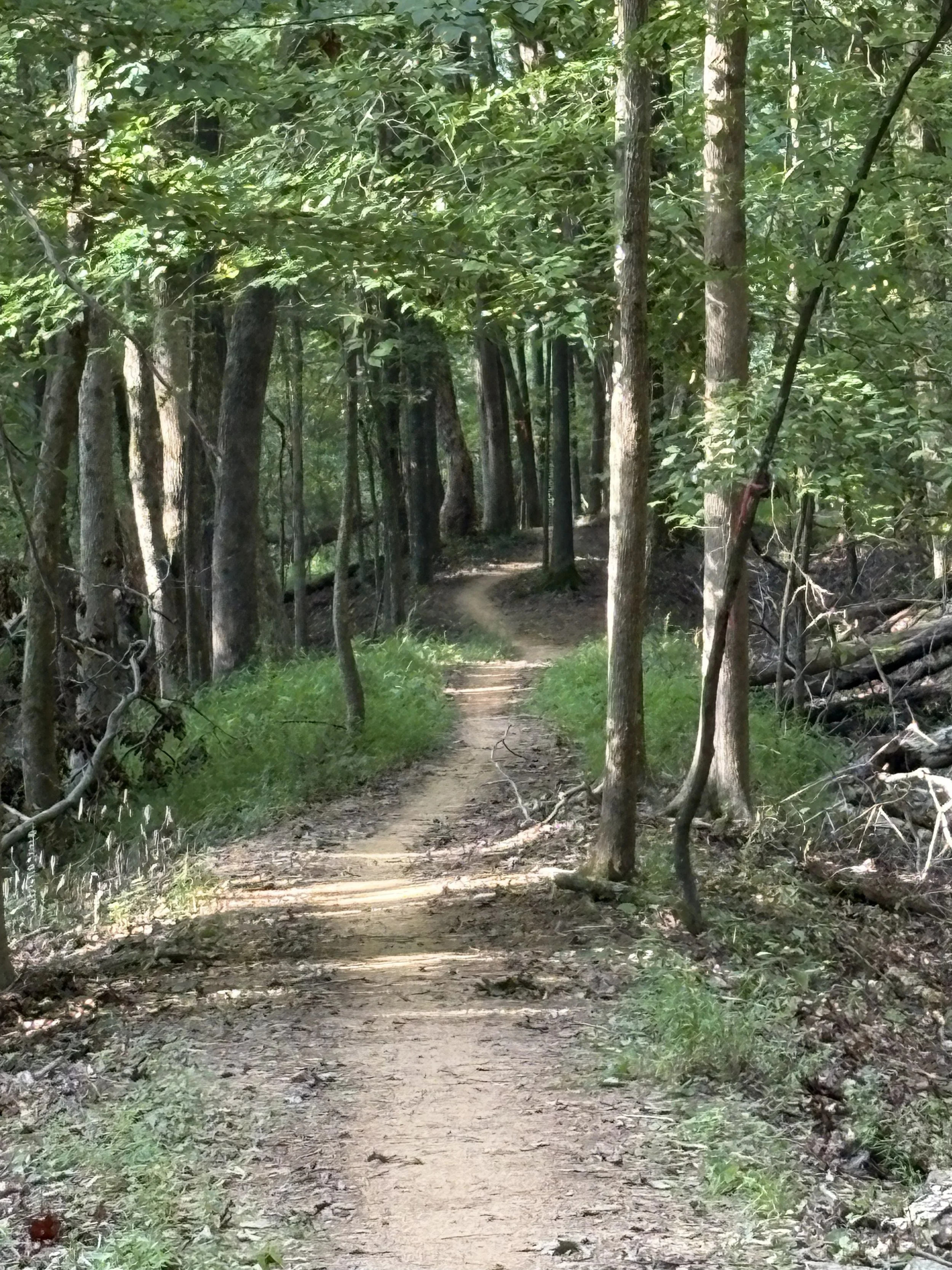 Box Turtle Trail 01.jpg