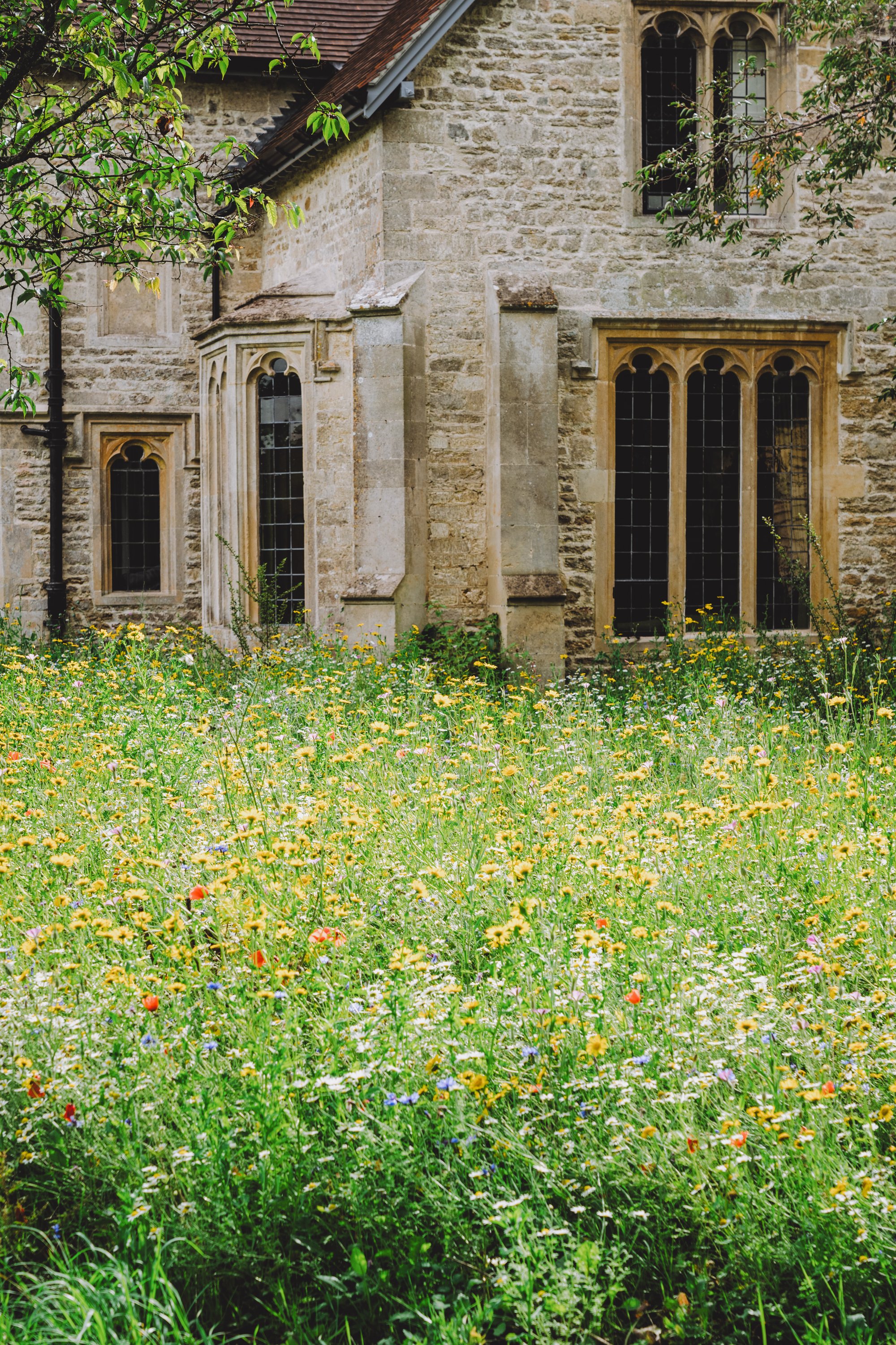 42-Summer-Flowers-7.JPG