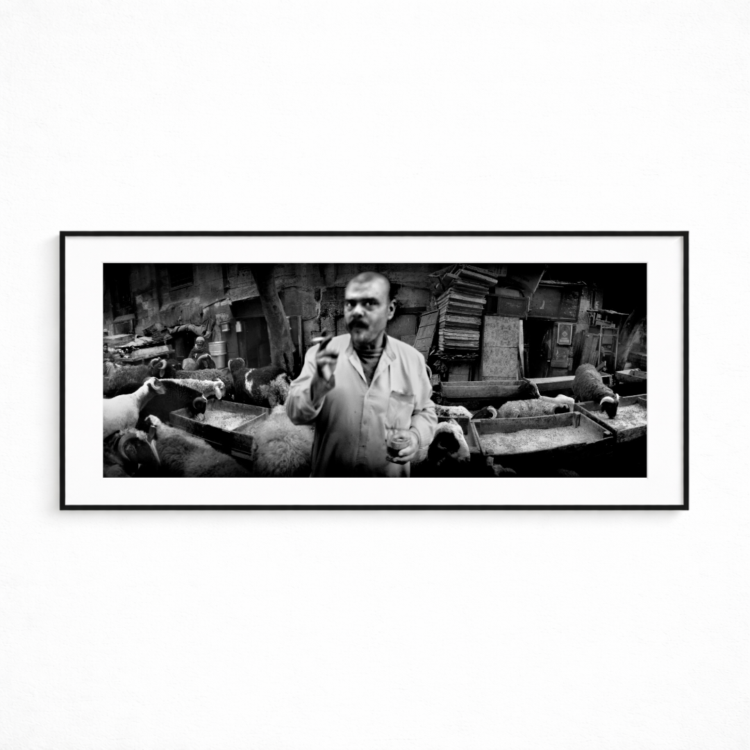 Untitled design 4.png