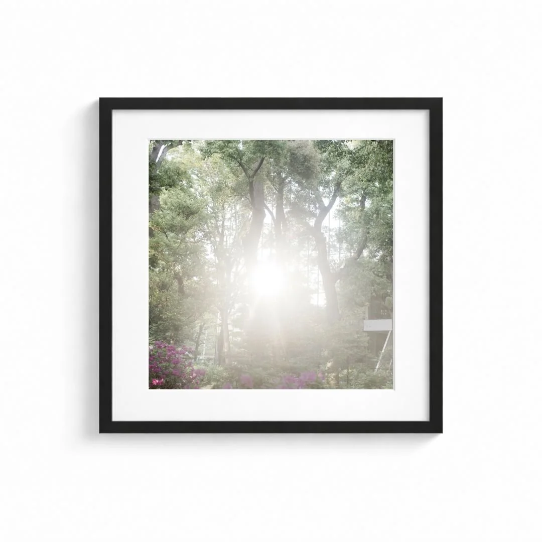 Namnlös design (31).jpg