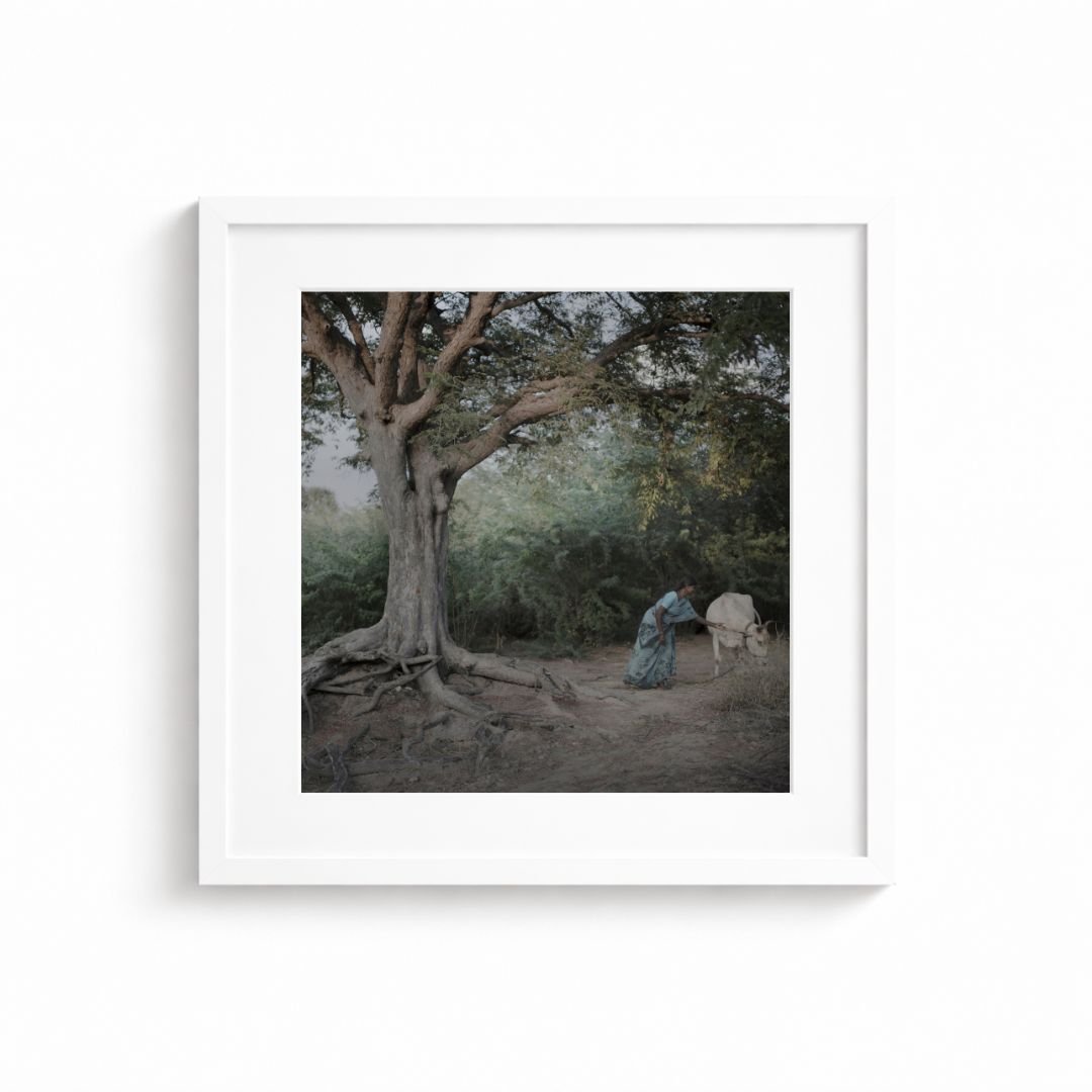 Namnlös design (43).jpg