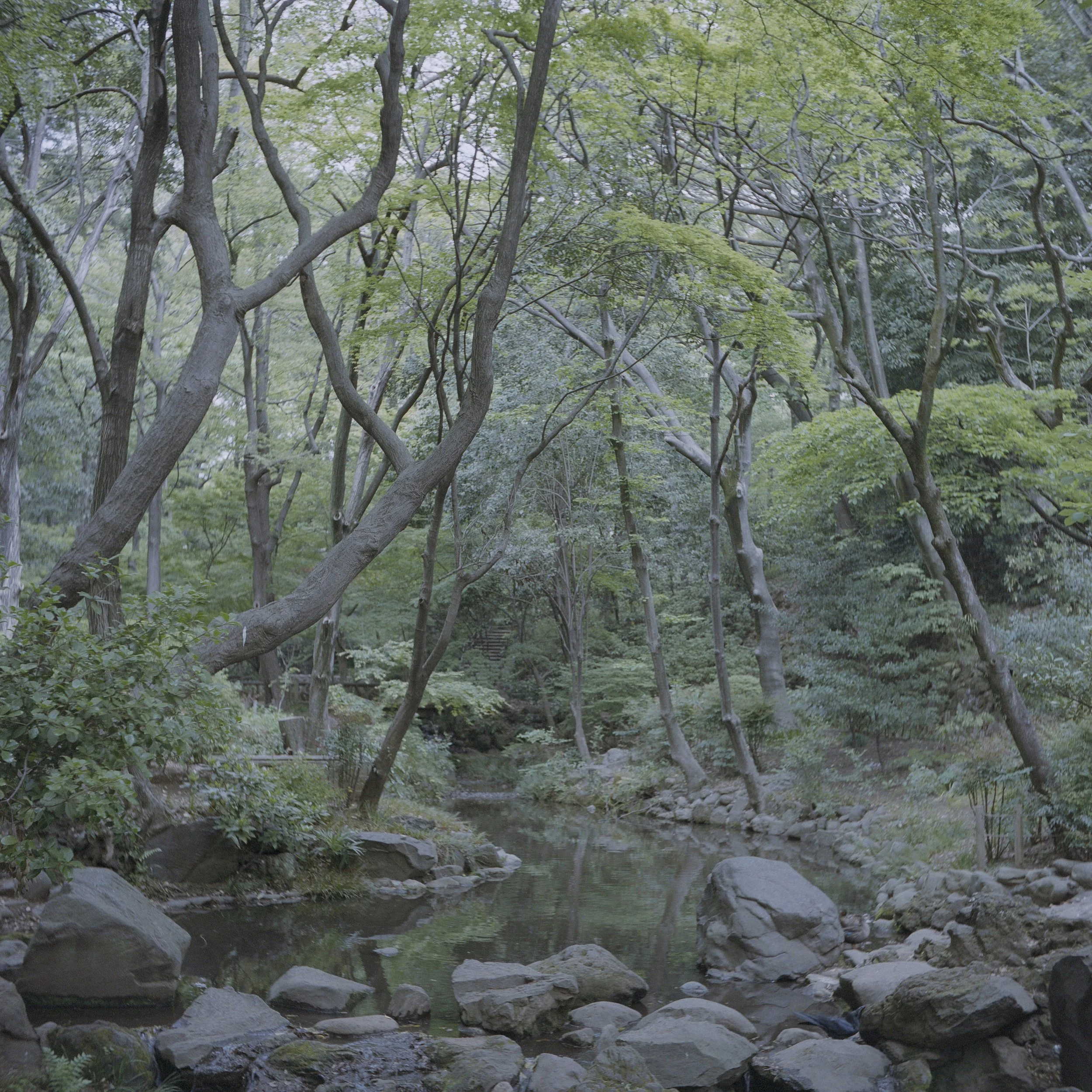 Japan, Tokyo, May 2012.