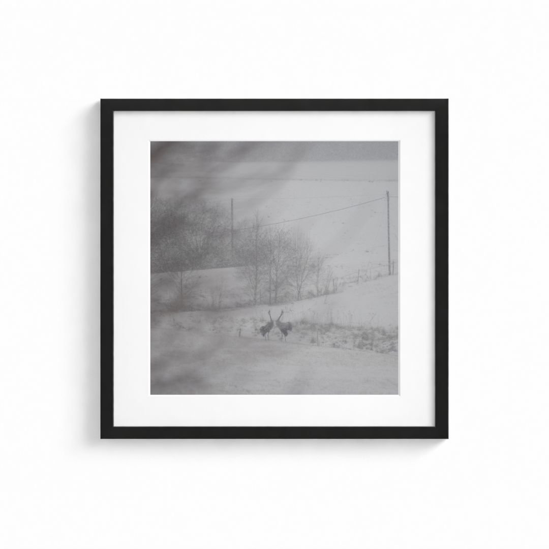 Namnlös design (19).jpg