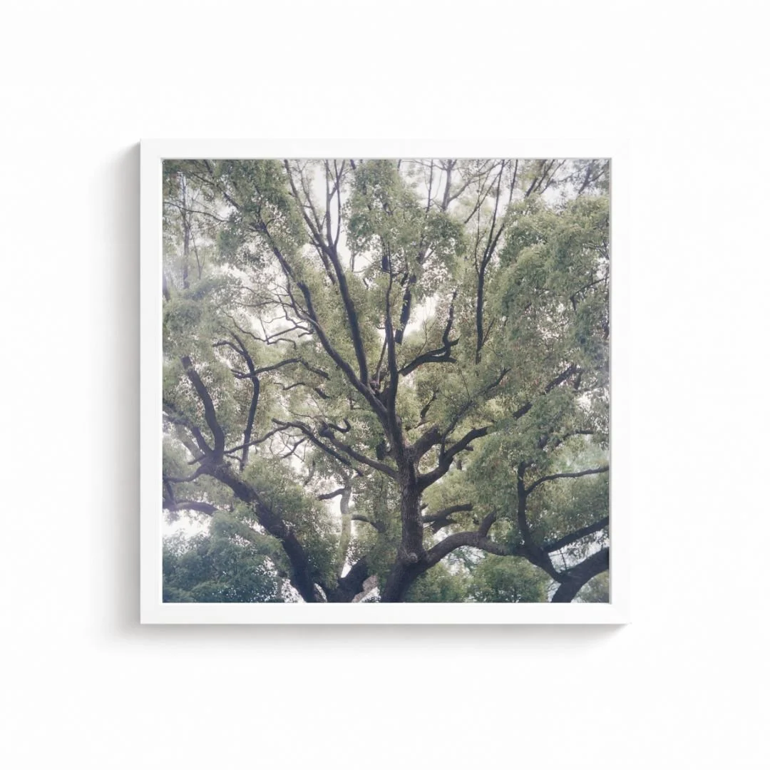 Namnlös design (32).jpg