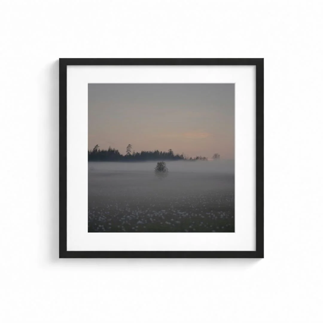 Namnlös design (5).jpg