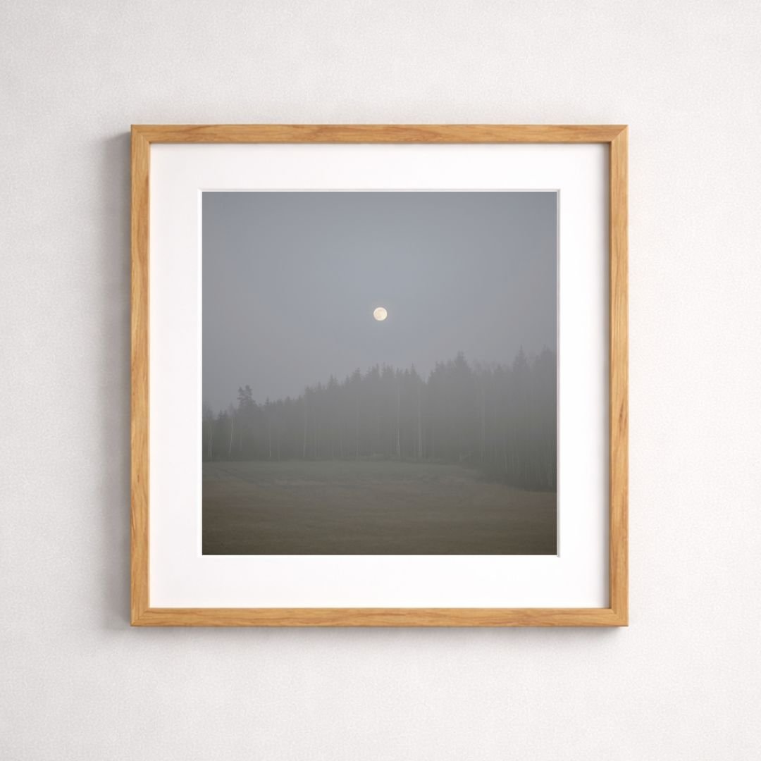 Namnlös design (11).jpg