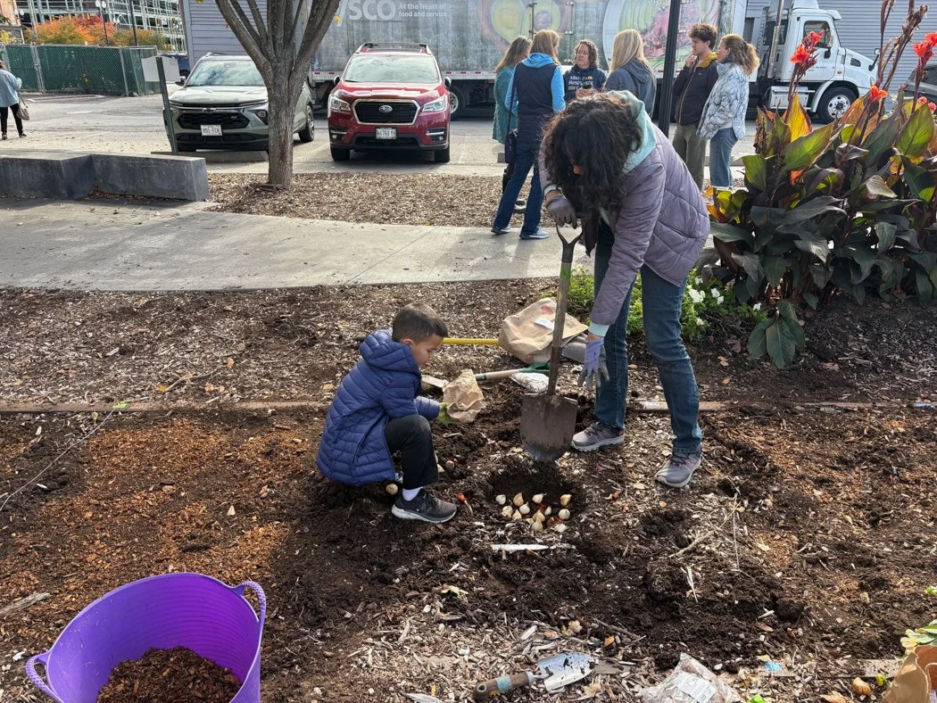 Community Planting Day