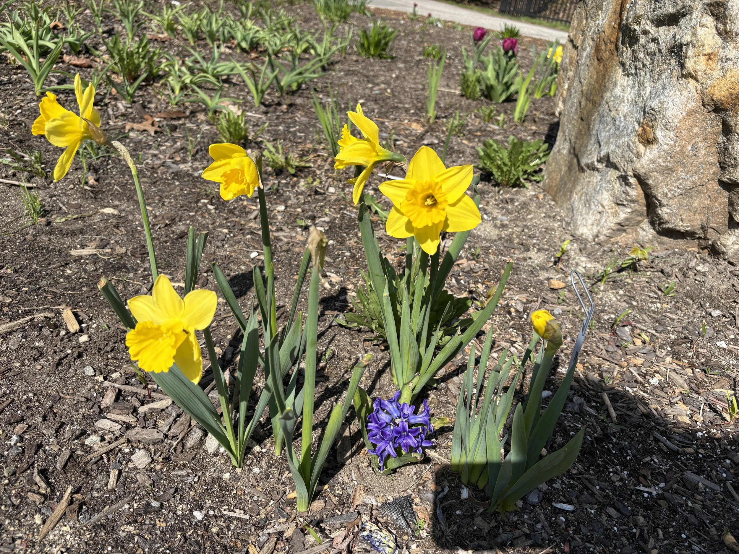 IMG_1858.JPG