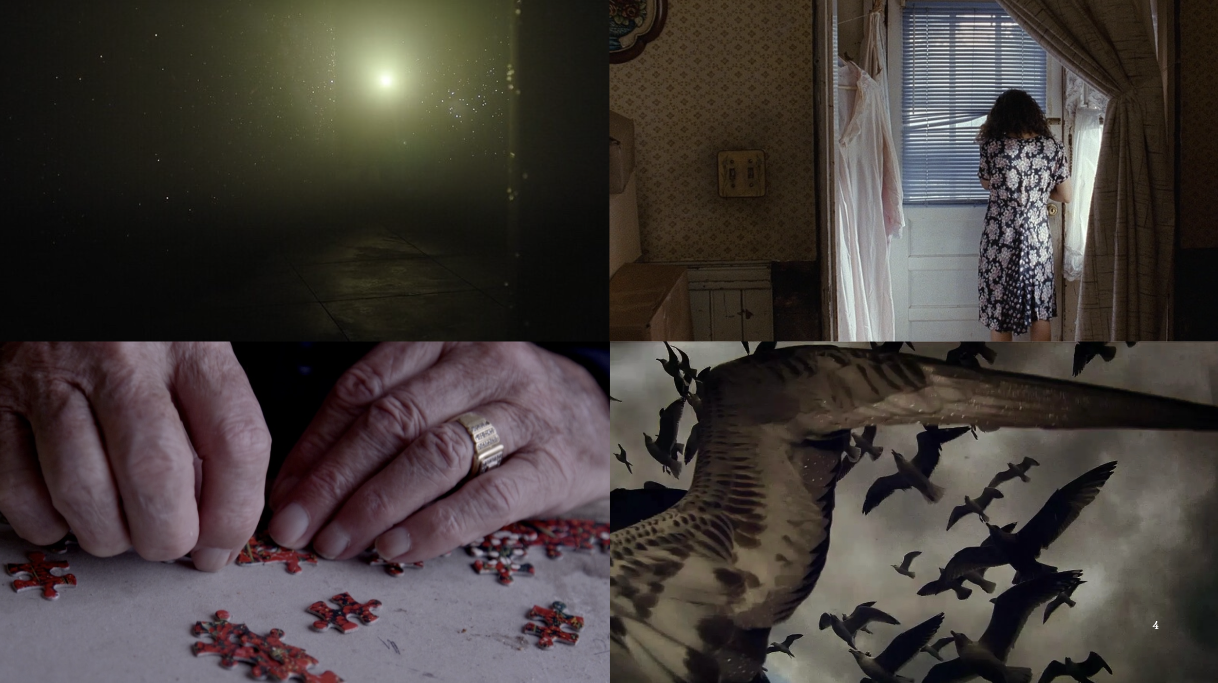 Screenshot 2026-03-02 at 15.37.26.png