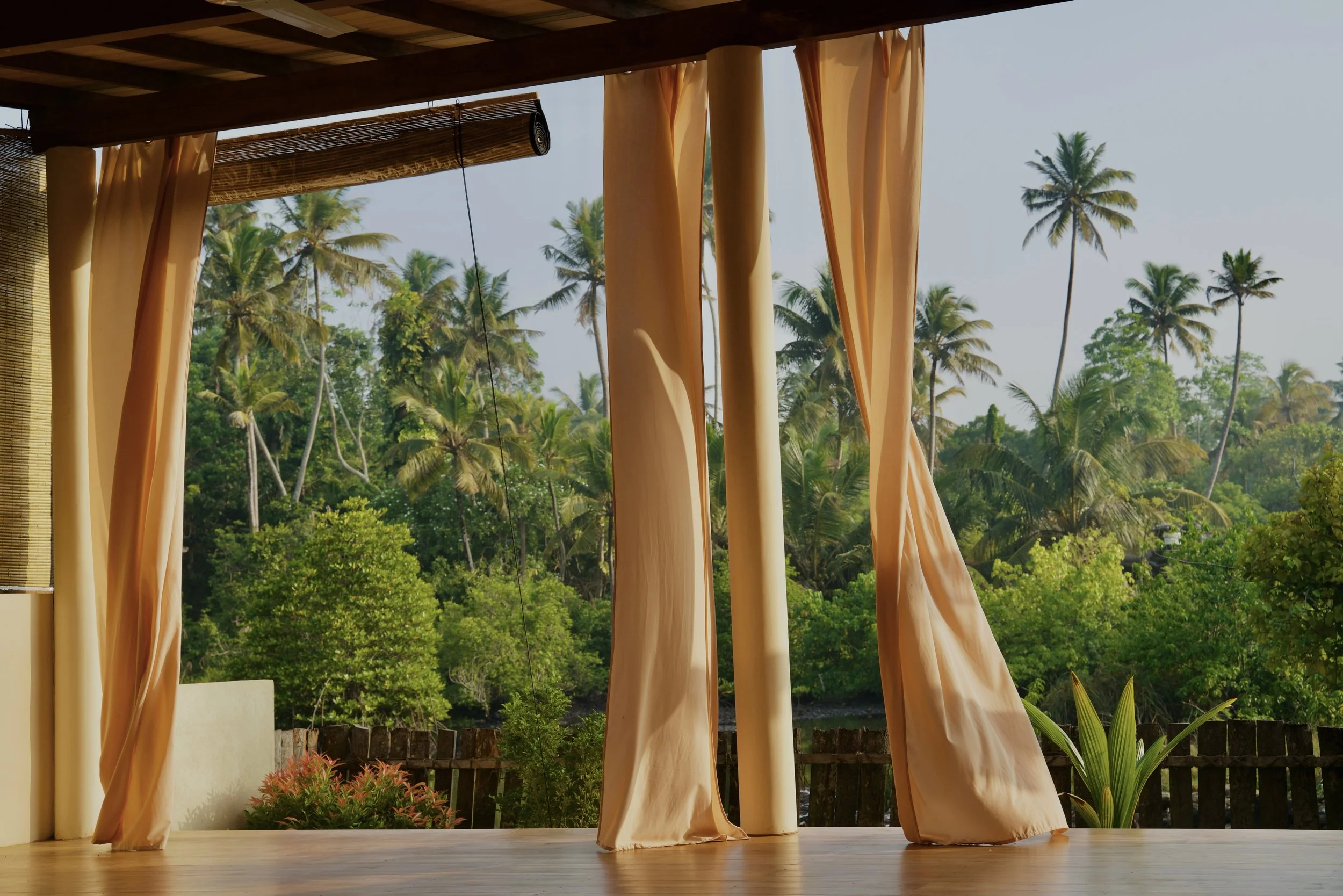 Blick durch offene Vorhänge auf einen grünen Dschungel mit Palmen.