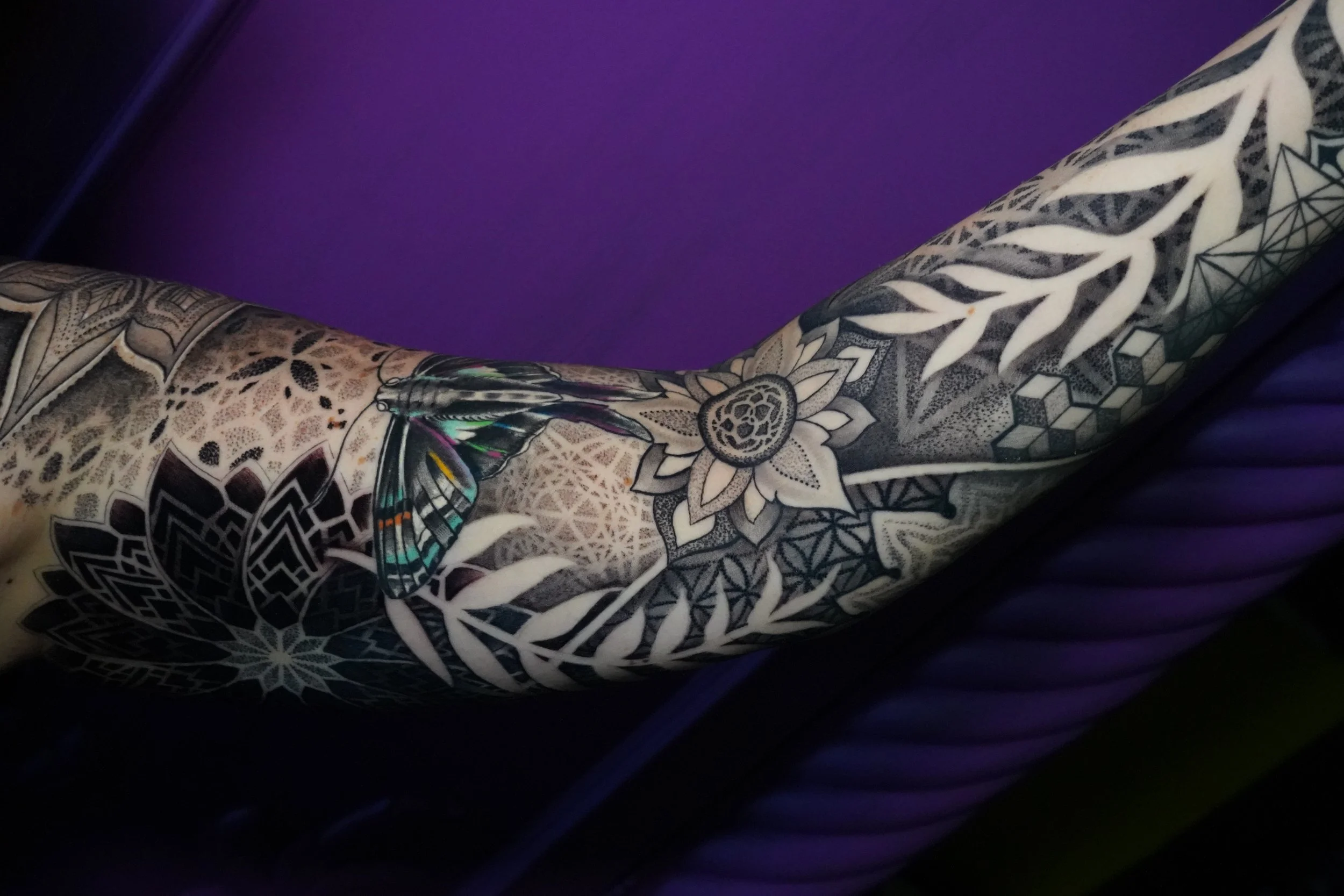 Close-up of a tattooed arm with a colorful butterfly and intricate black and gray geometric and floral patterns, against a purple background.