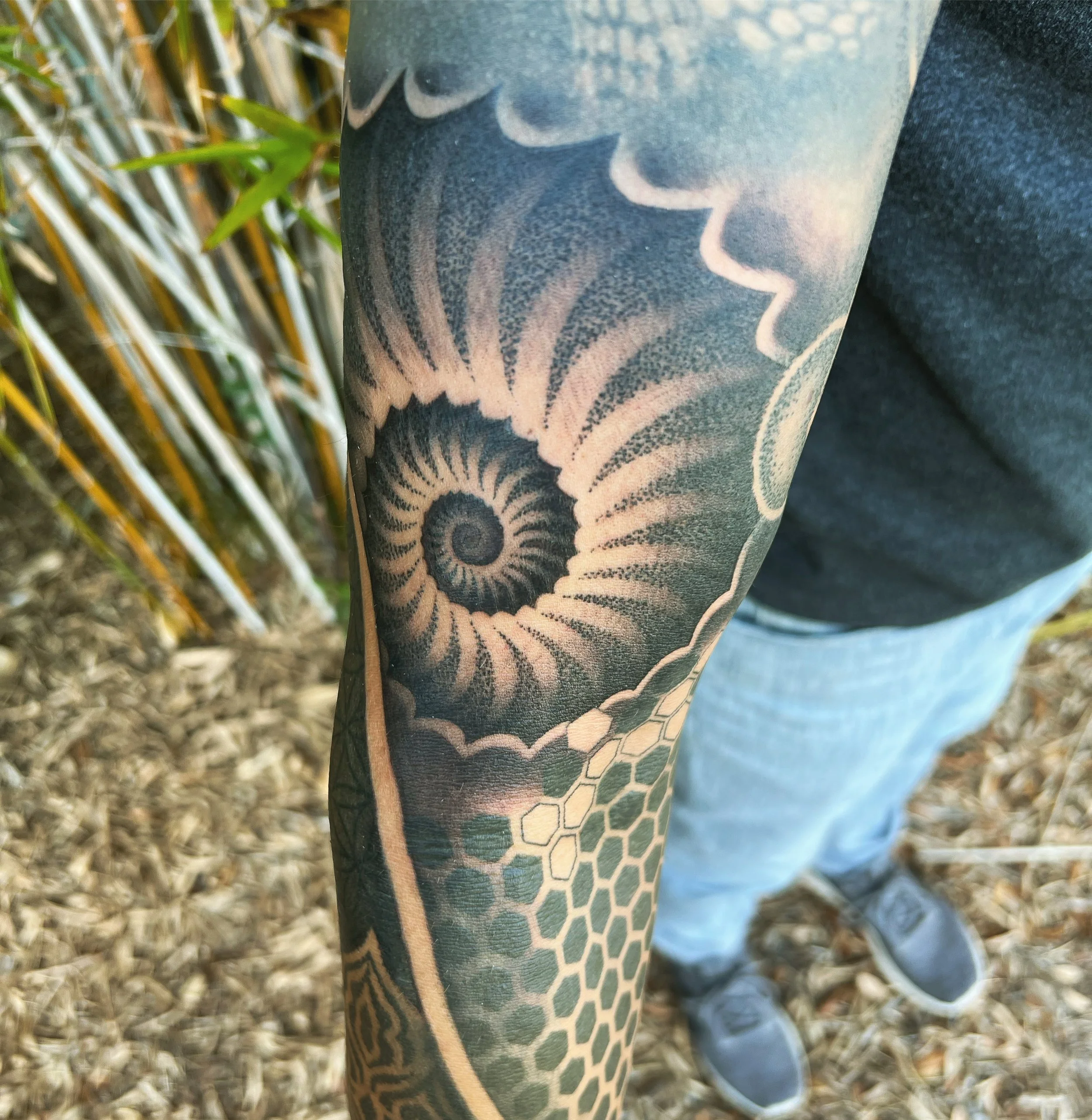 Close-up of a person's arm with a black and gray tattoo of a spiral ammonite fossil and honeycomb pattern.