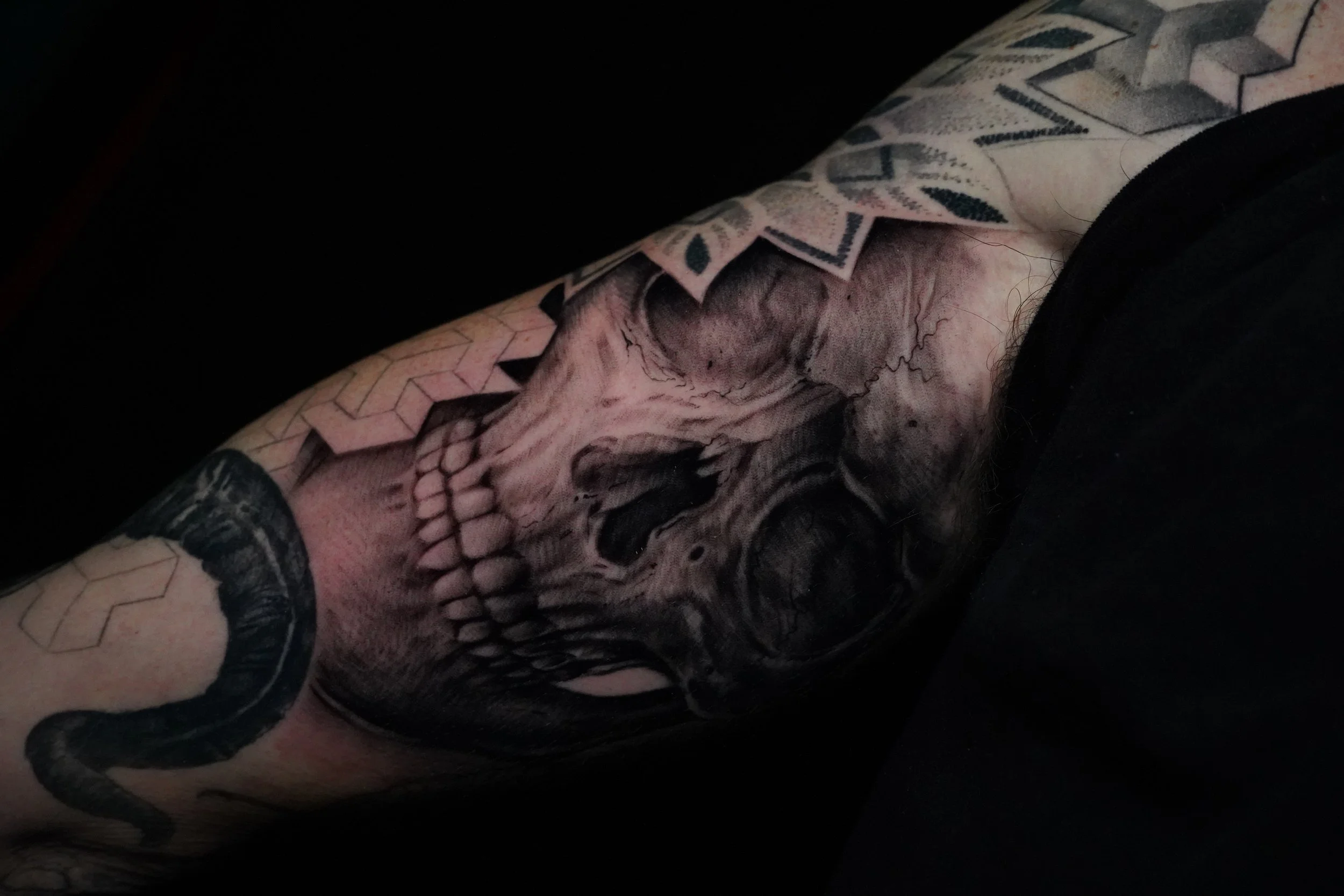 Detailed black and grey tattoo of a skull with a snake wrapped around it on a person's arm.