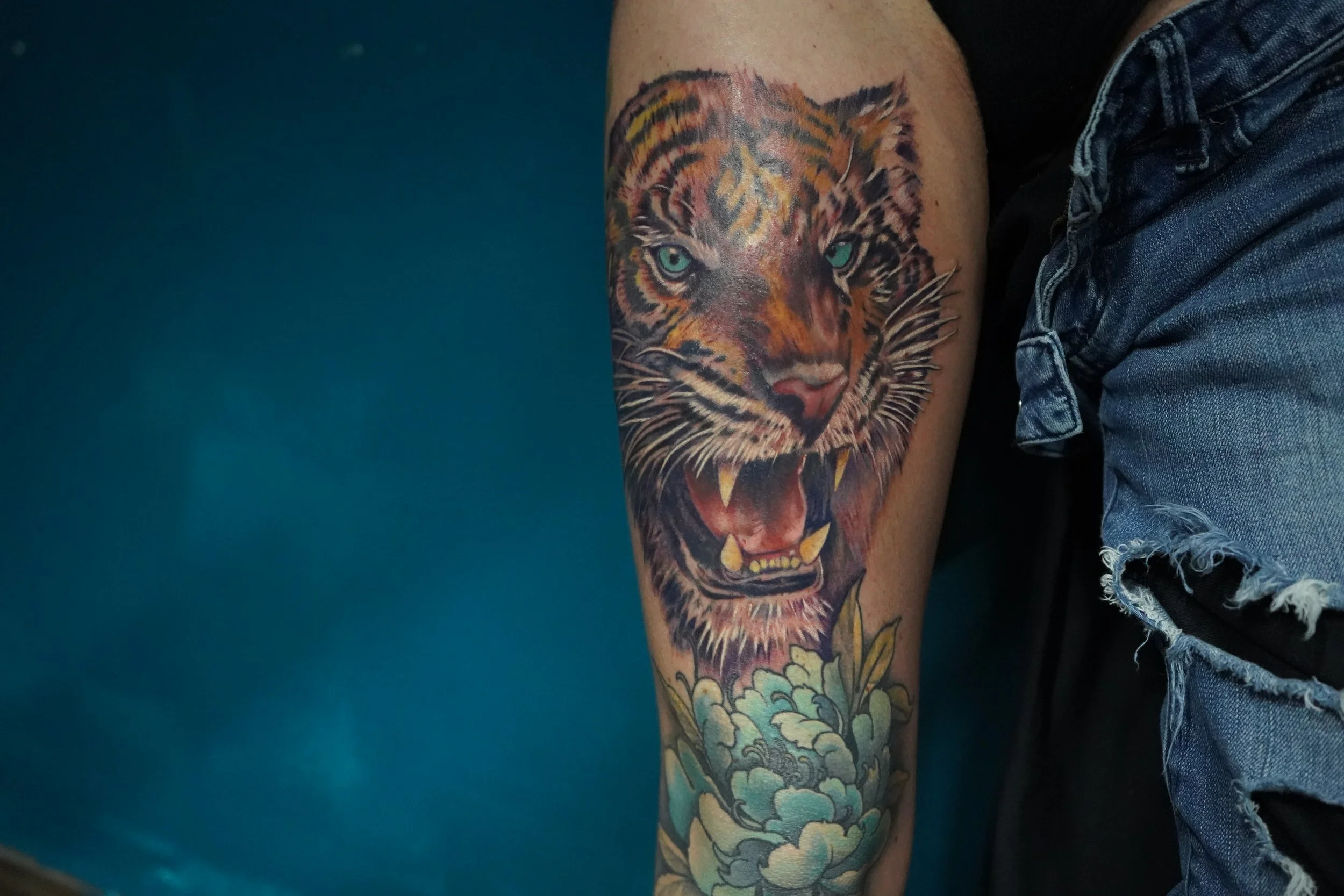 Tattoo of a fierce tiger's face with bared teeth, detailed with vibrant colors, on a person's arm.