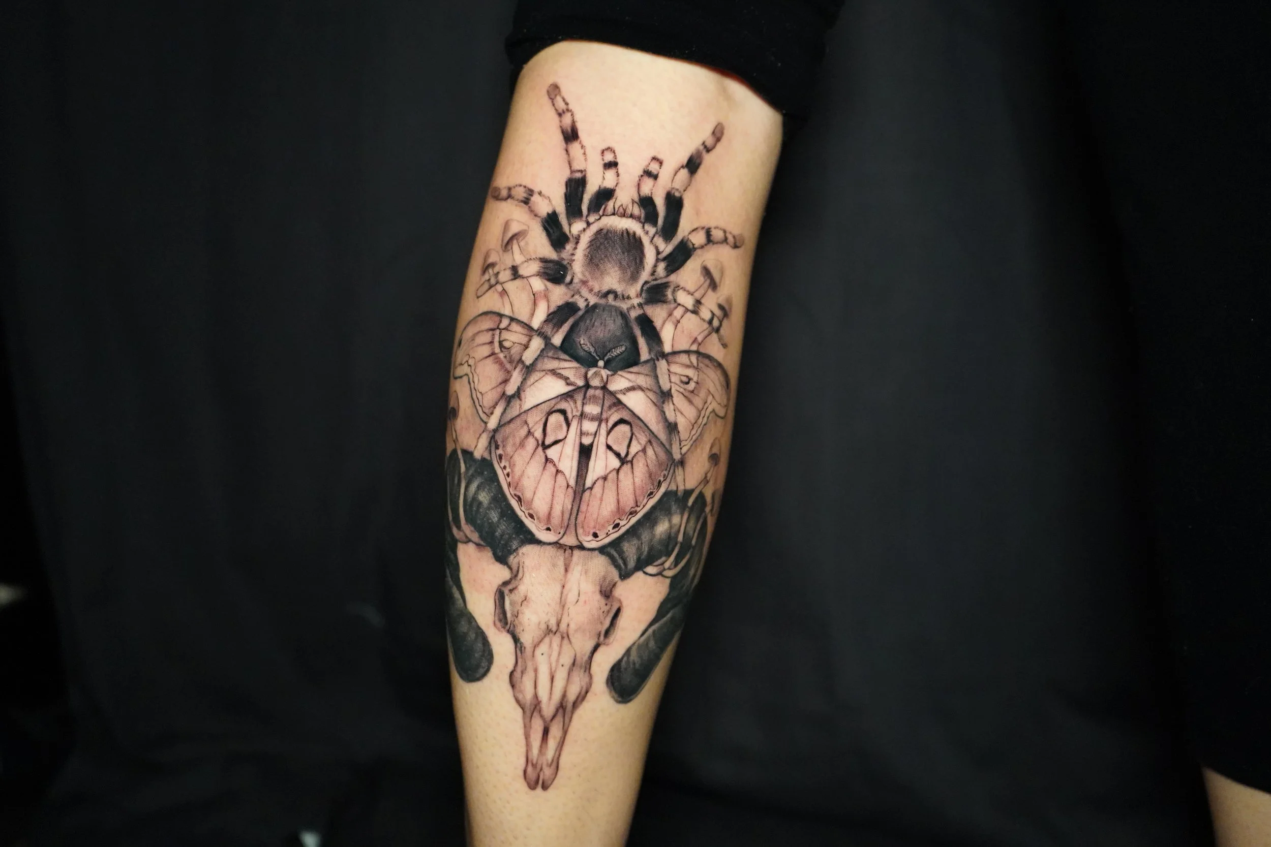 Tattoo of a spider and a butterfly skull on a person's forearm.
