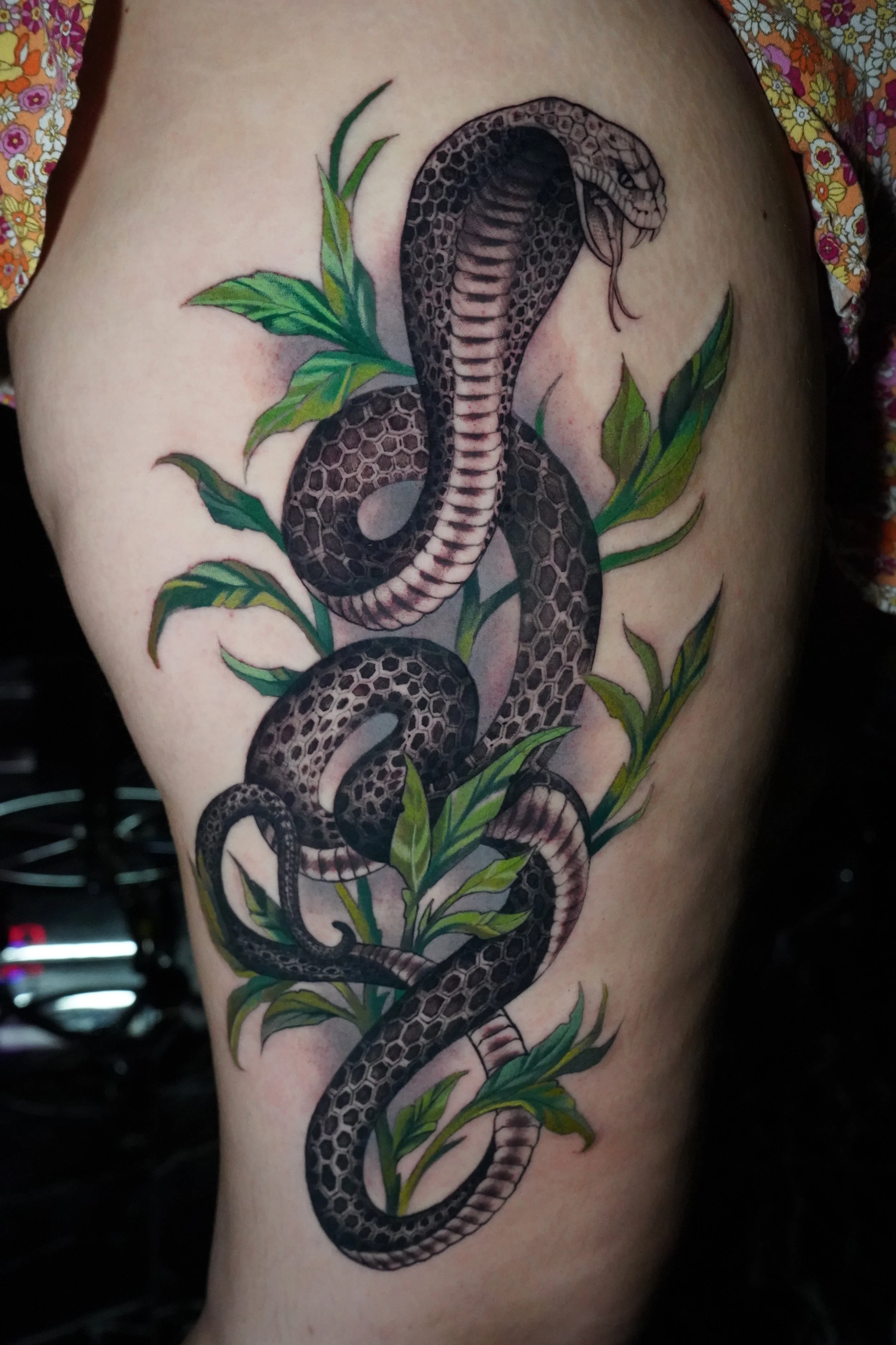 A detailed tattoo of a black and gray snake entwined with green leaves on a person's upper arm or thigh.