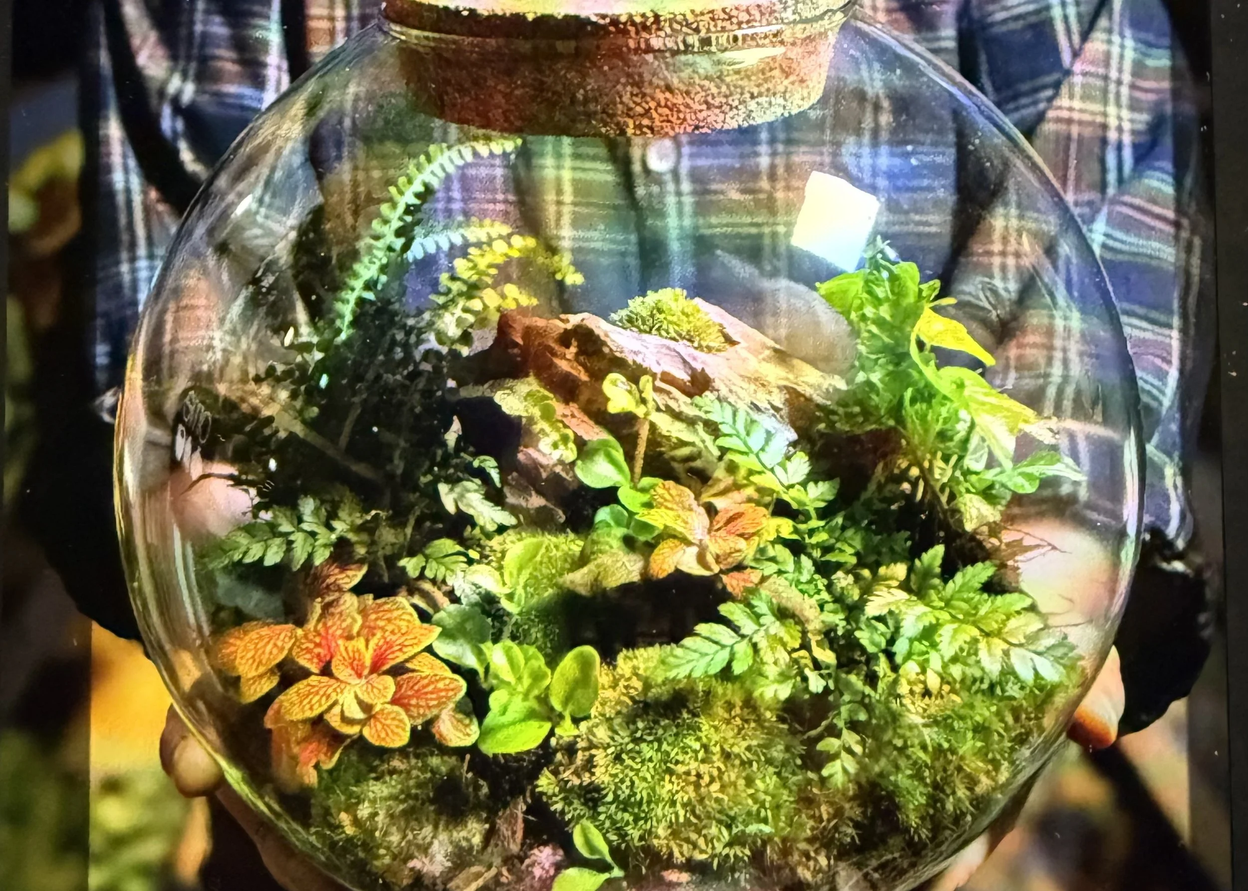 Terrarium Workshop
