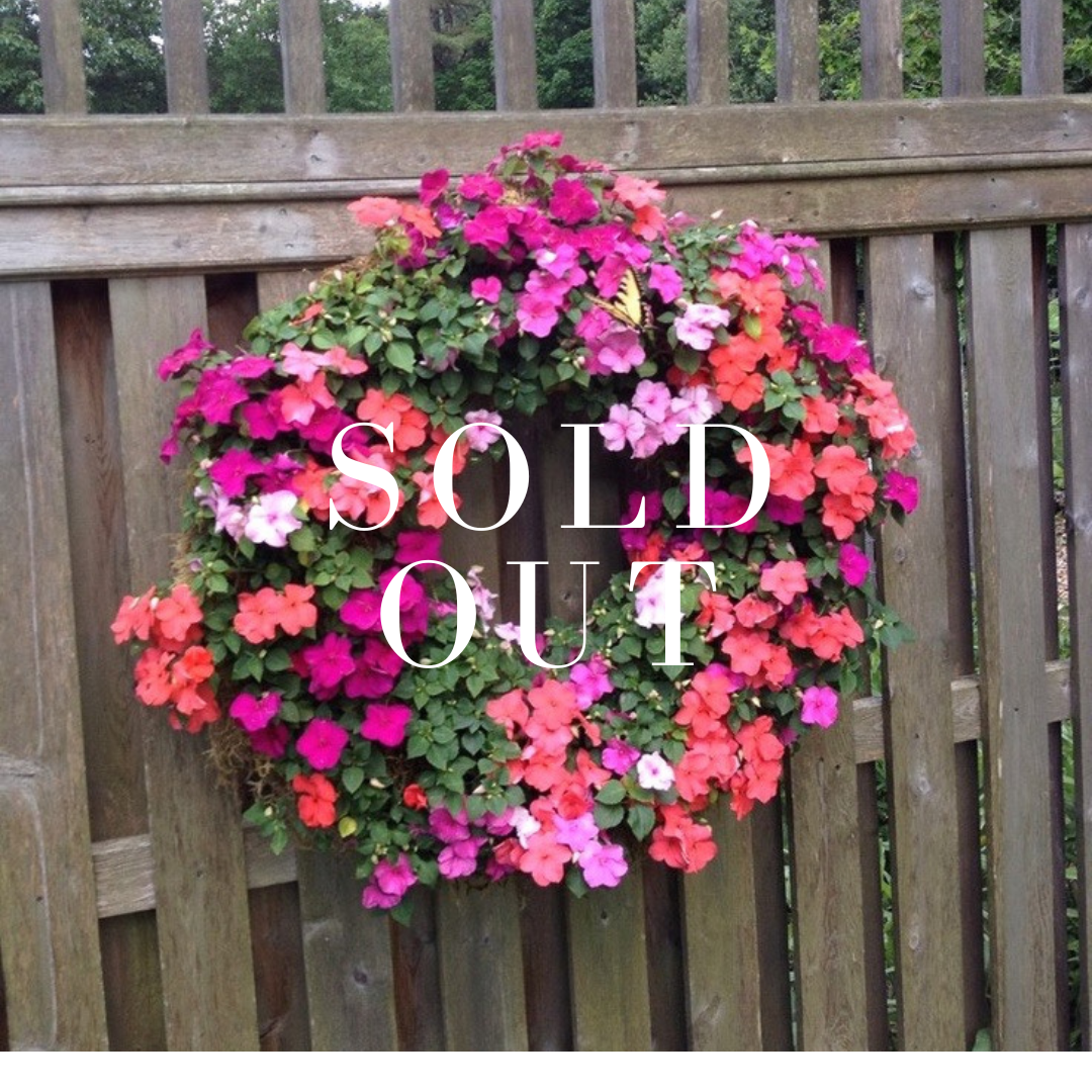 Living Annual Wreath