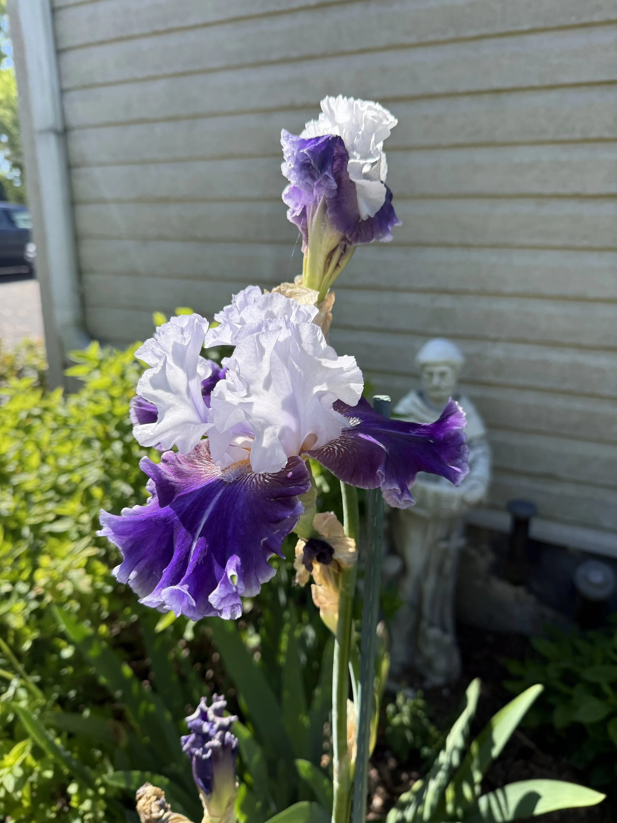 IMG_7956.jpeg