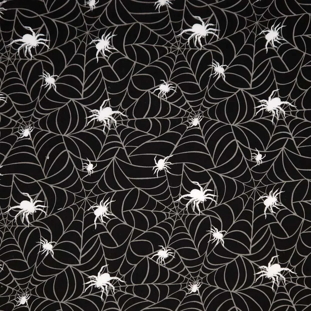 hairy spider & web black.jpg