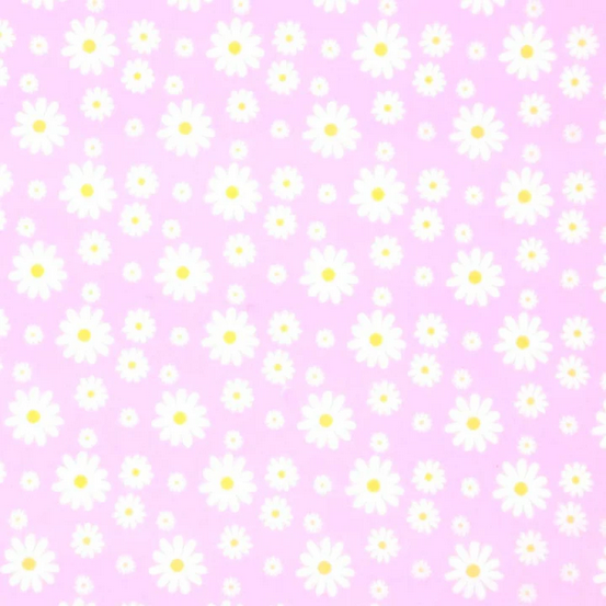 dasies lilac.png
