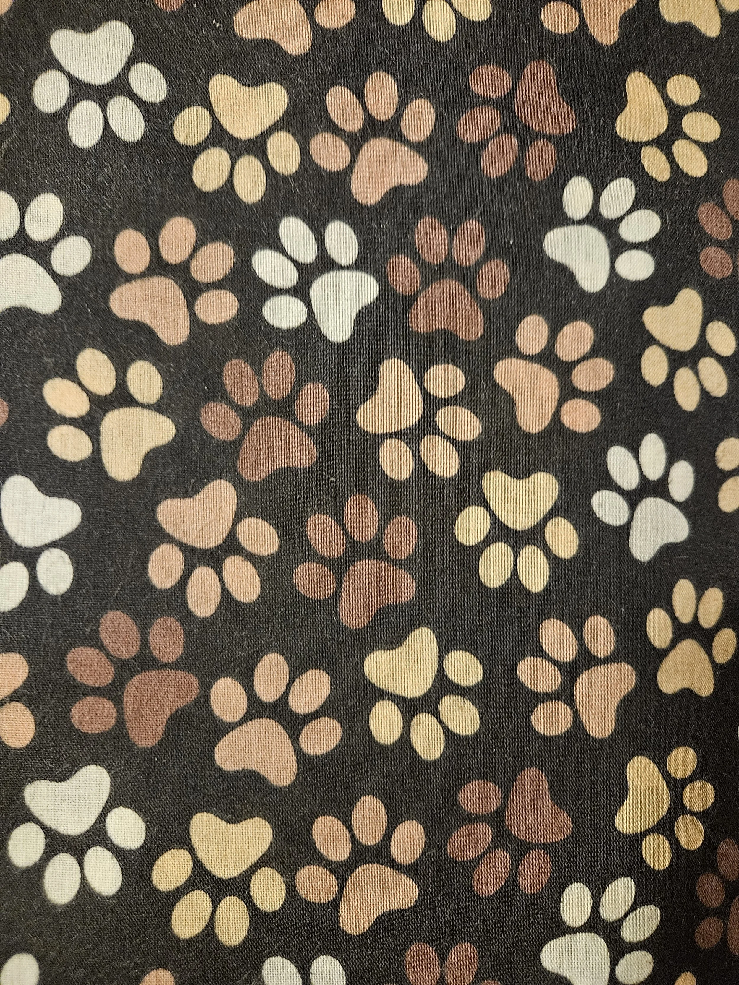 PAW PRINT POLYCOTTON COLLAR