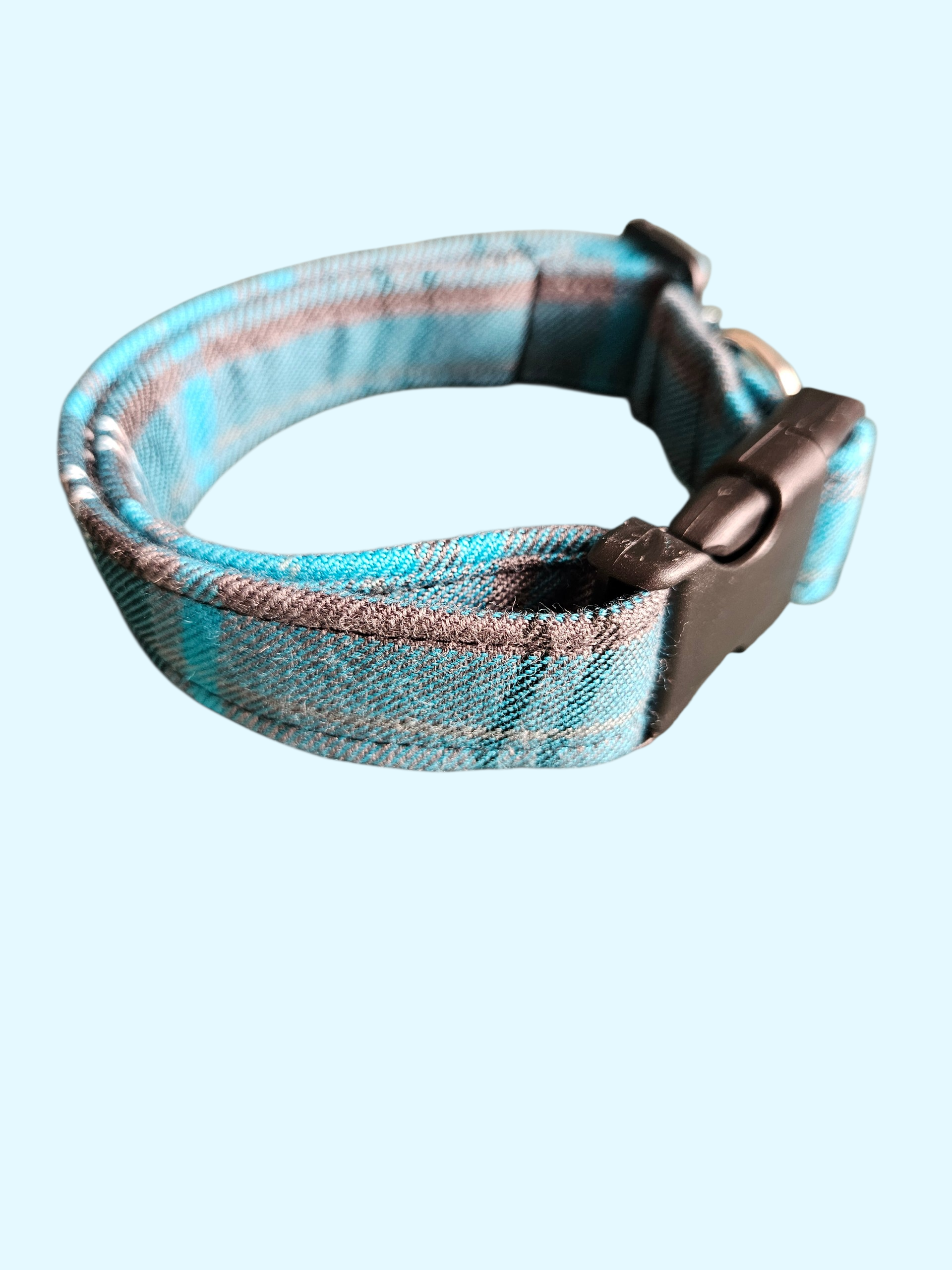 1000020491.png