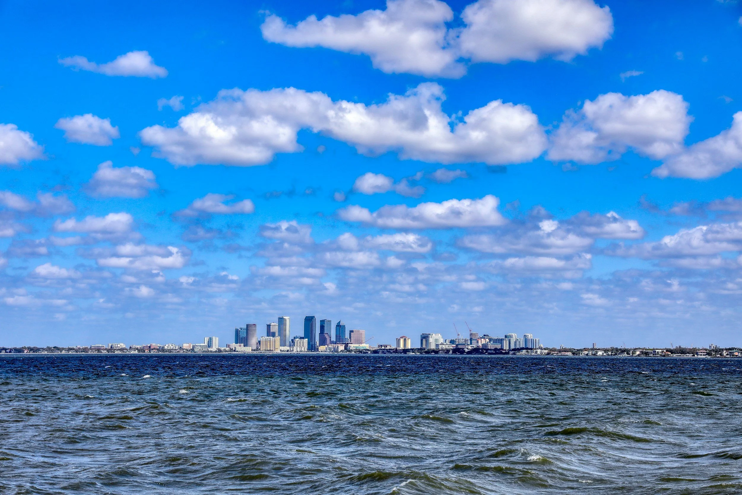 Therapy in Tampa Bay