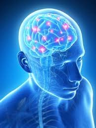 Neuro-Physio.jpeg