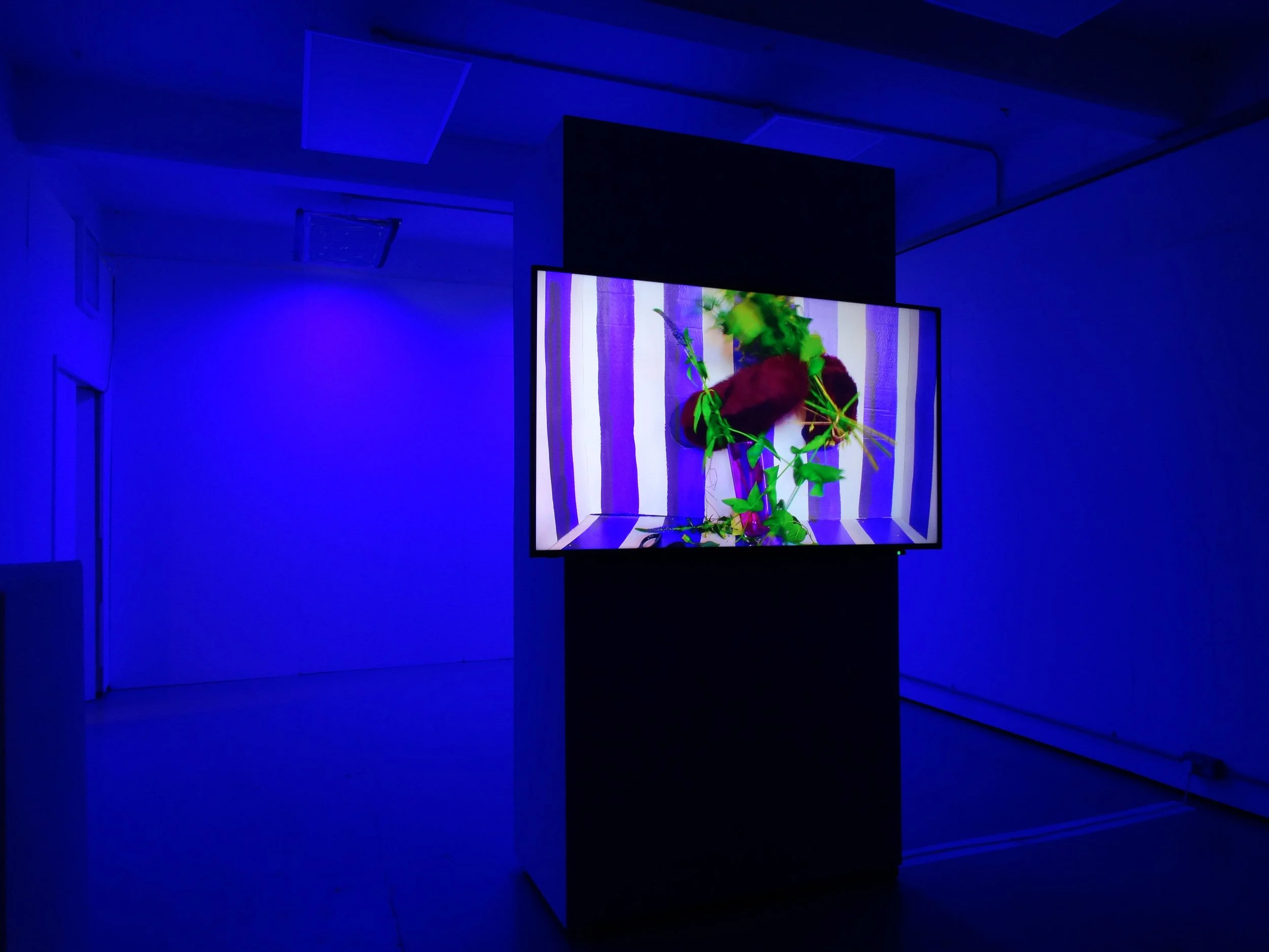To madness or not at all, installation view, 2021
