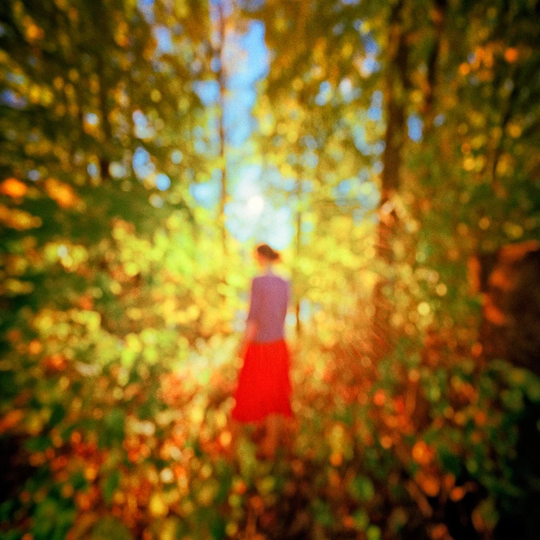 Red Dress • 44" x 44" Pigment on Hand Made Amate Paper • 2011