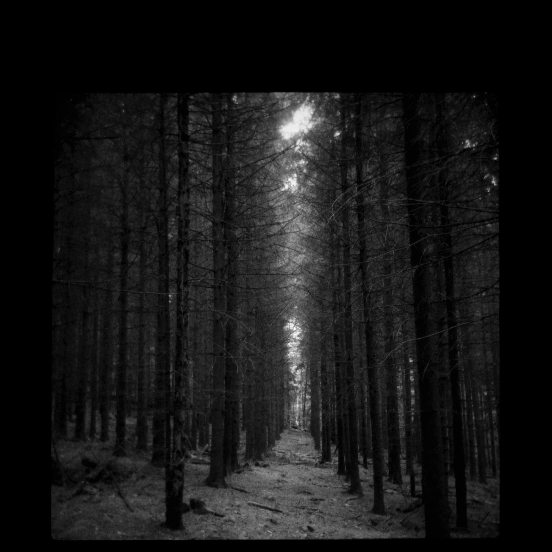 Number 7 • 7" x 7" on French Mould Made Paper • From the book and Series Through A Glass Darkly by Stephen Schaub