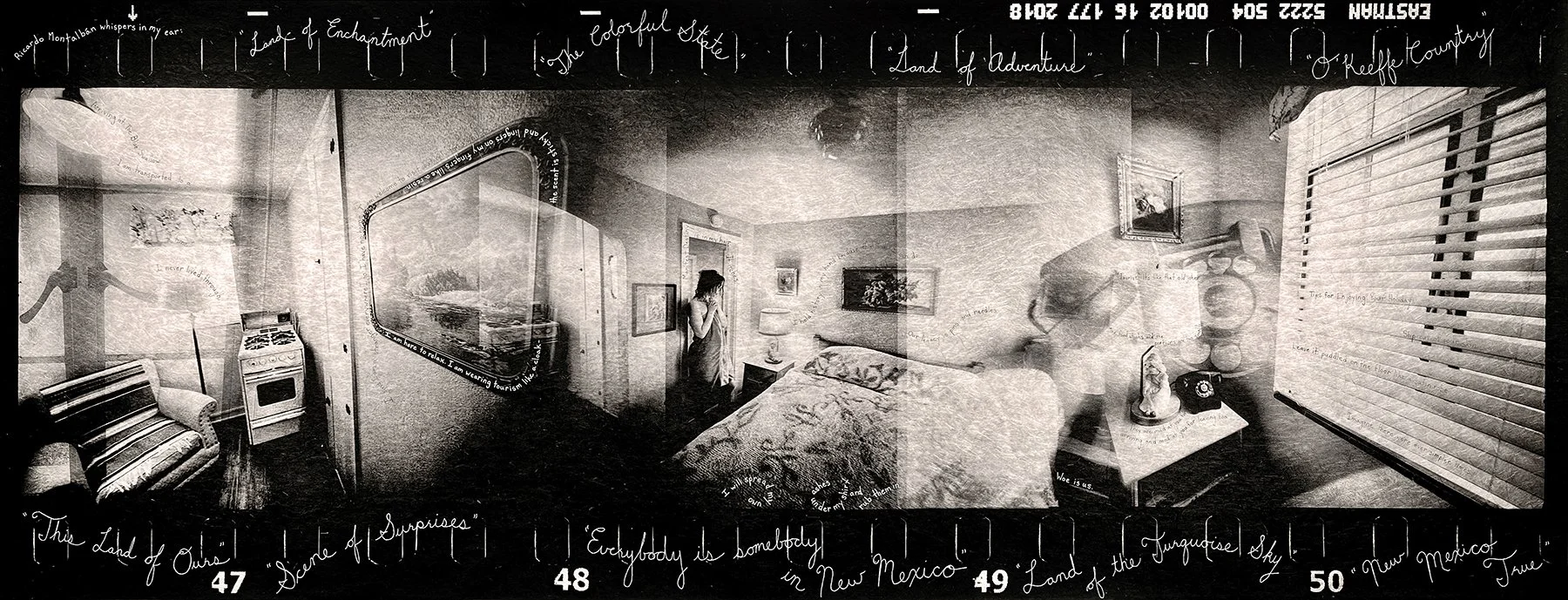 The Blue Swallow • On Display at 516 Arts, Albuquerque, New Mexico • Feb. 19th - May 14, 2022 • Part of the exhibition Many Worlds Are Born