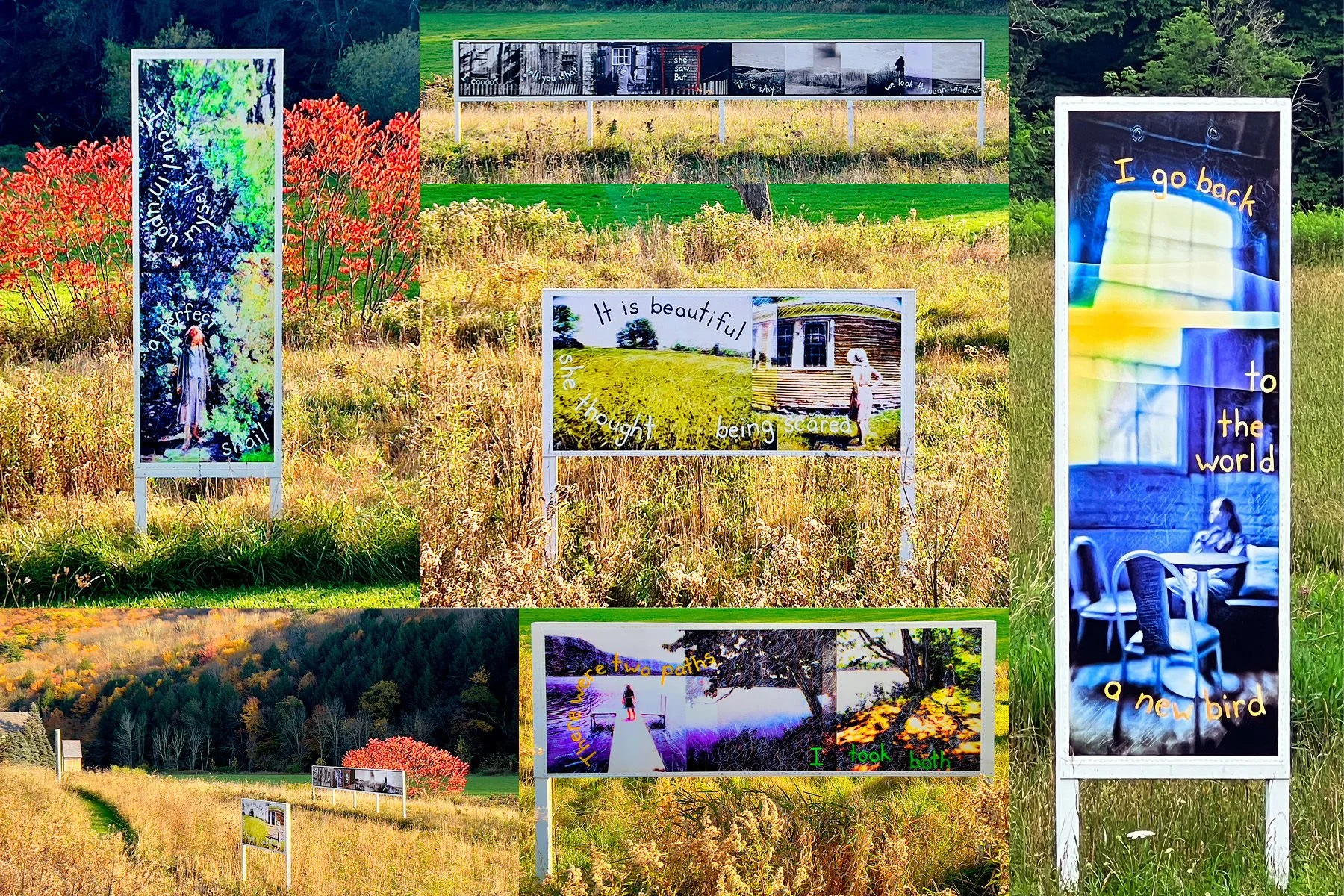 Why We Look Through Windows • Hayfield Art Gallery 2023