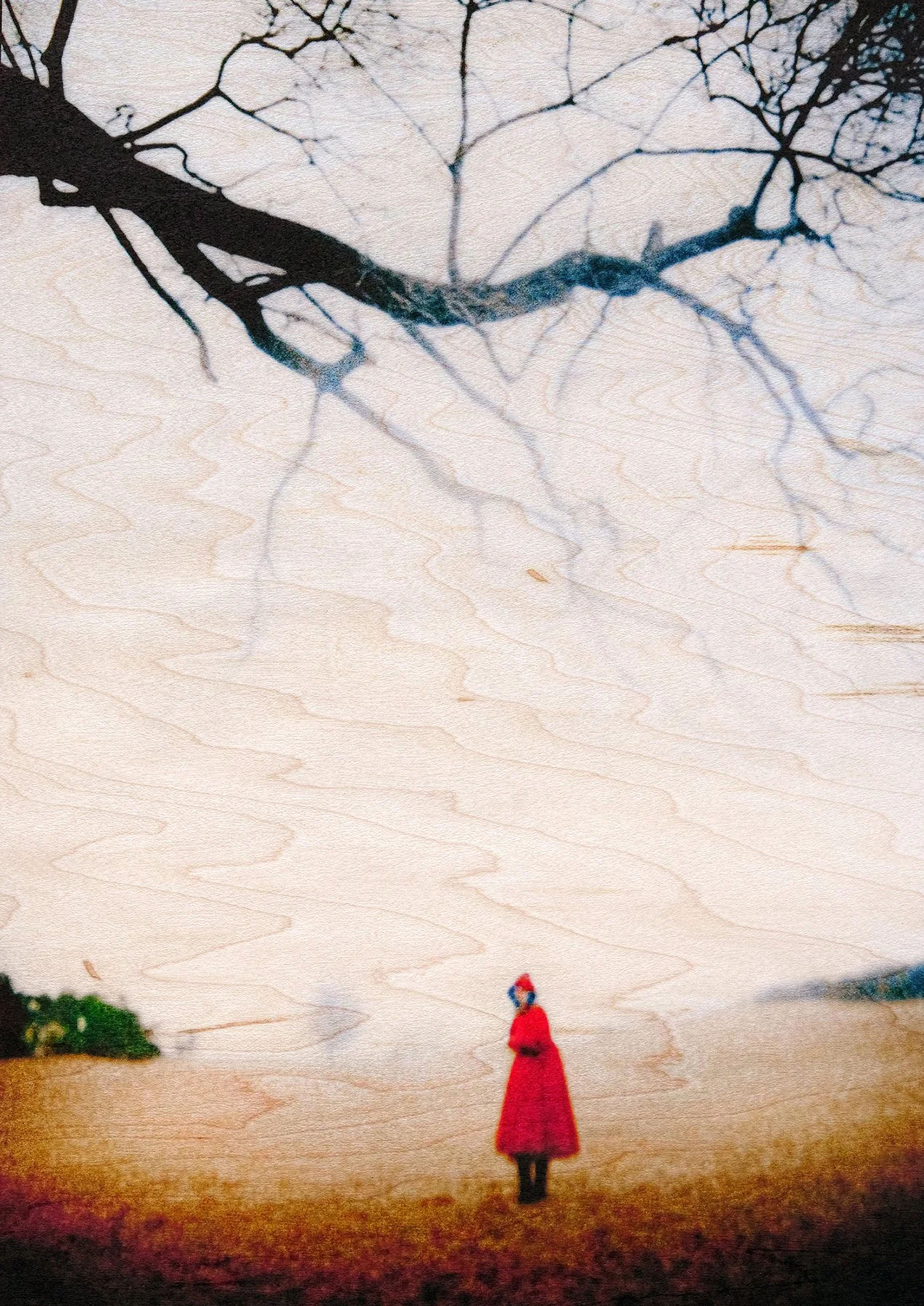 Red Cloak • 10" x 19" Pigment on Maple Veneer