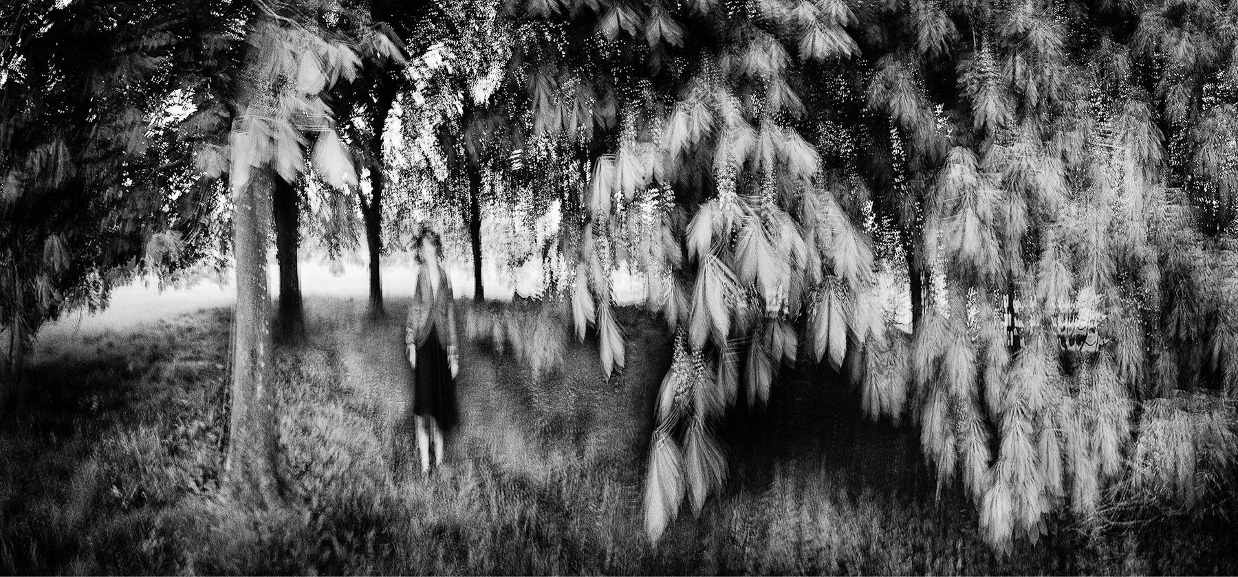 Woman In Forest • Pigment on hand made Amate Paper 44" x 96" • 2017