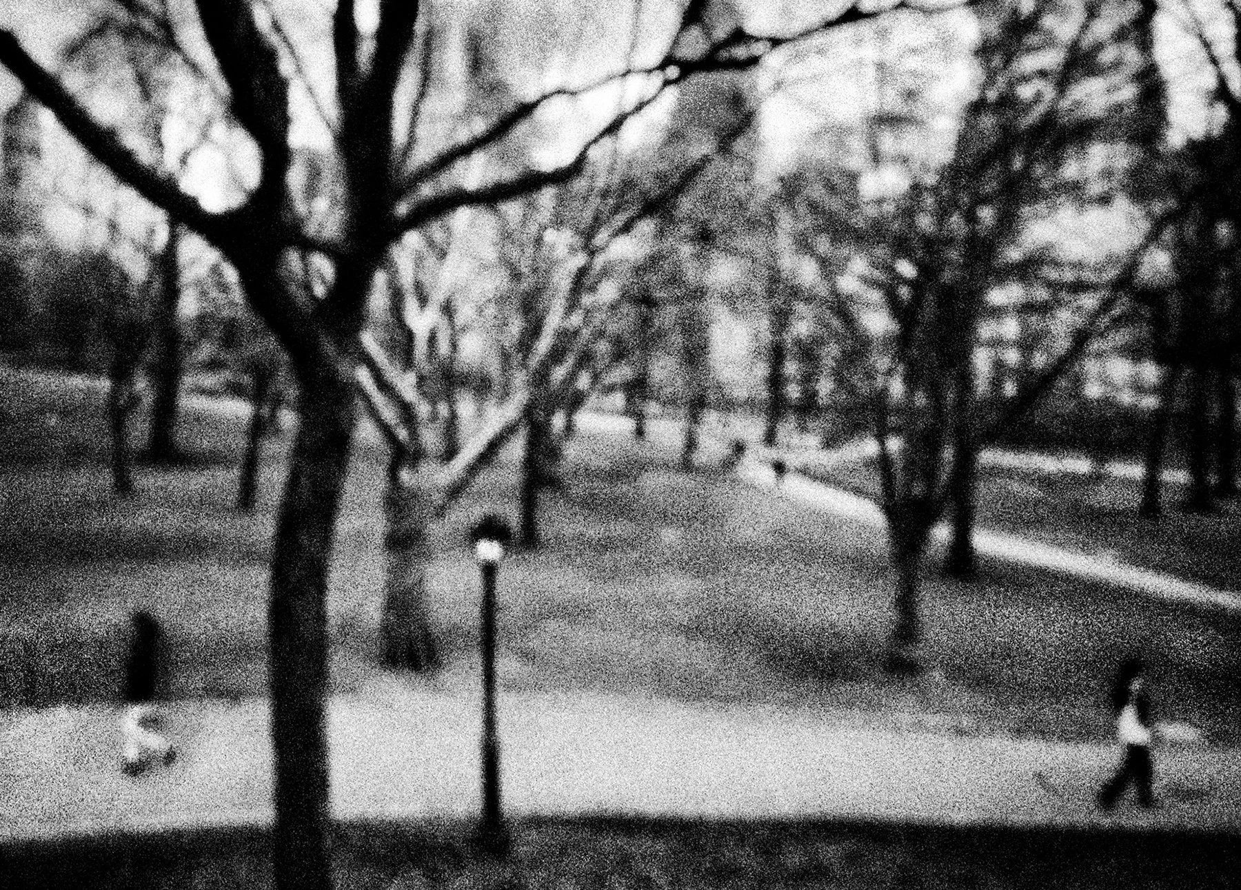 Central Park • 29" x 41" Pigment on Hand Made French Paper • 2013